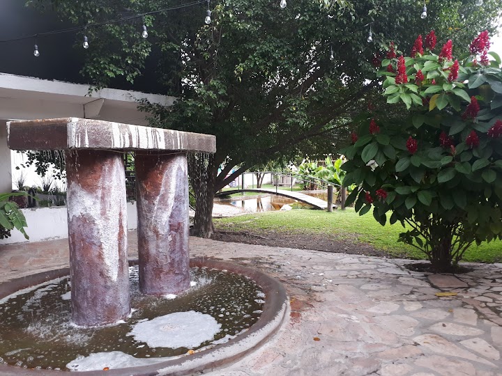 Terraza Jardín restaurant image 8