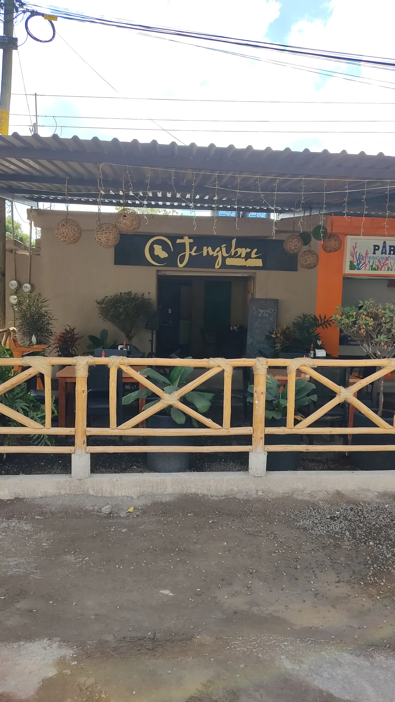 Jengibre image 5