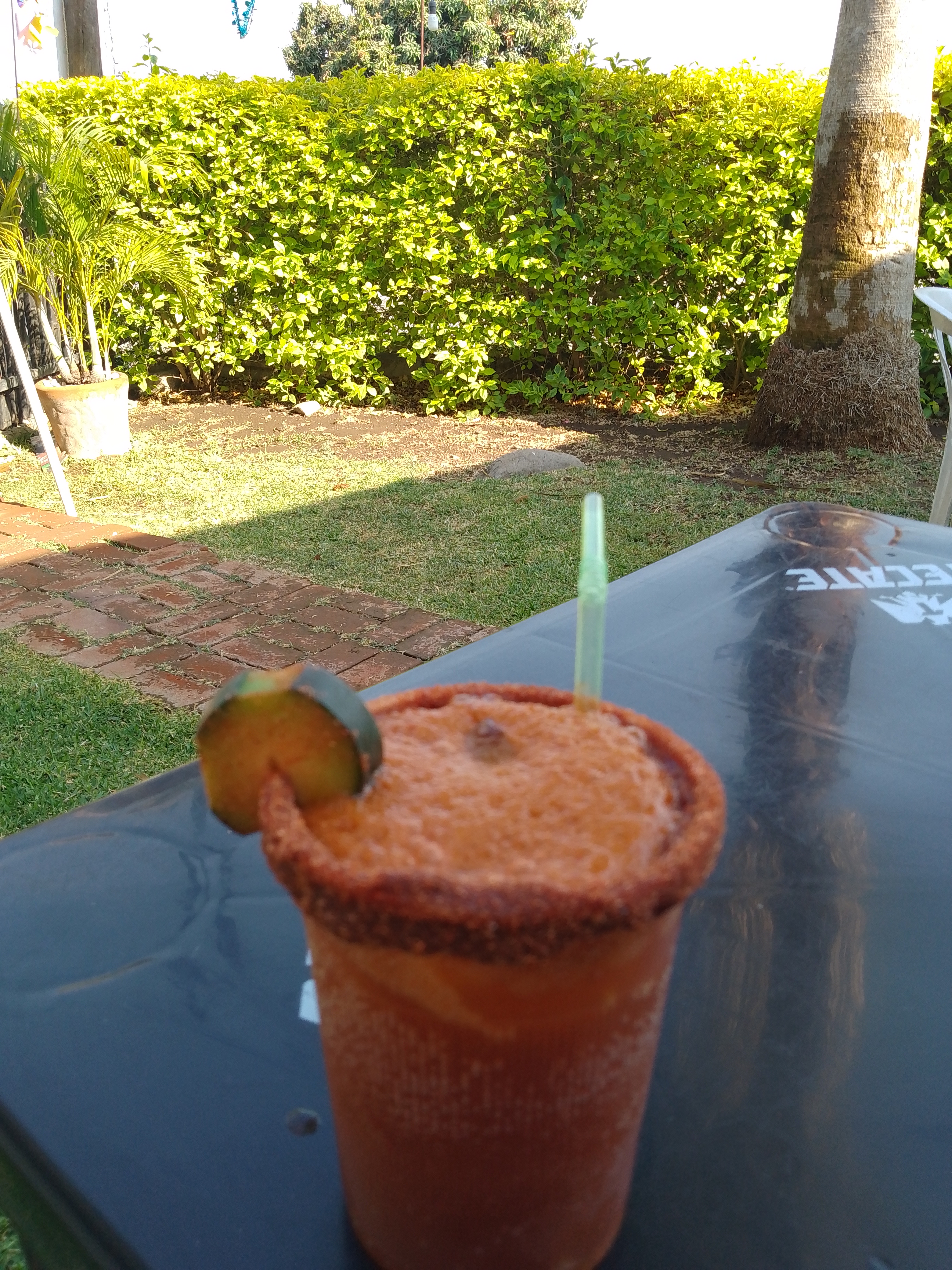 El pantanito image 2