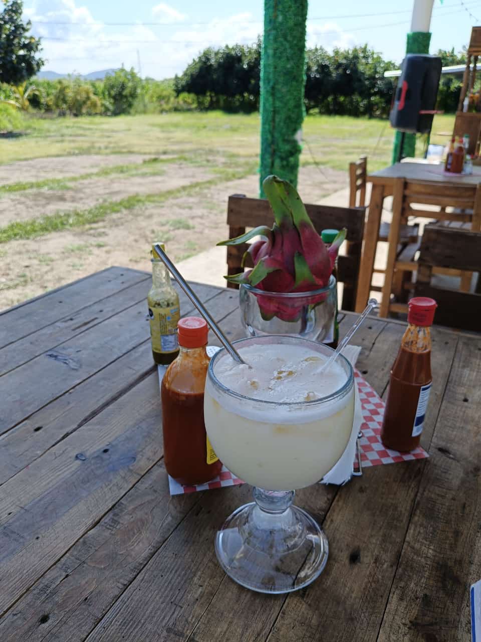 CACTUS HOUSE RESTAURANTE image 9