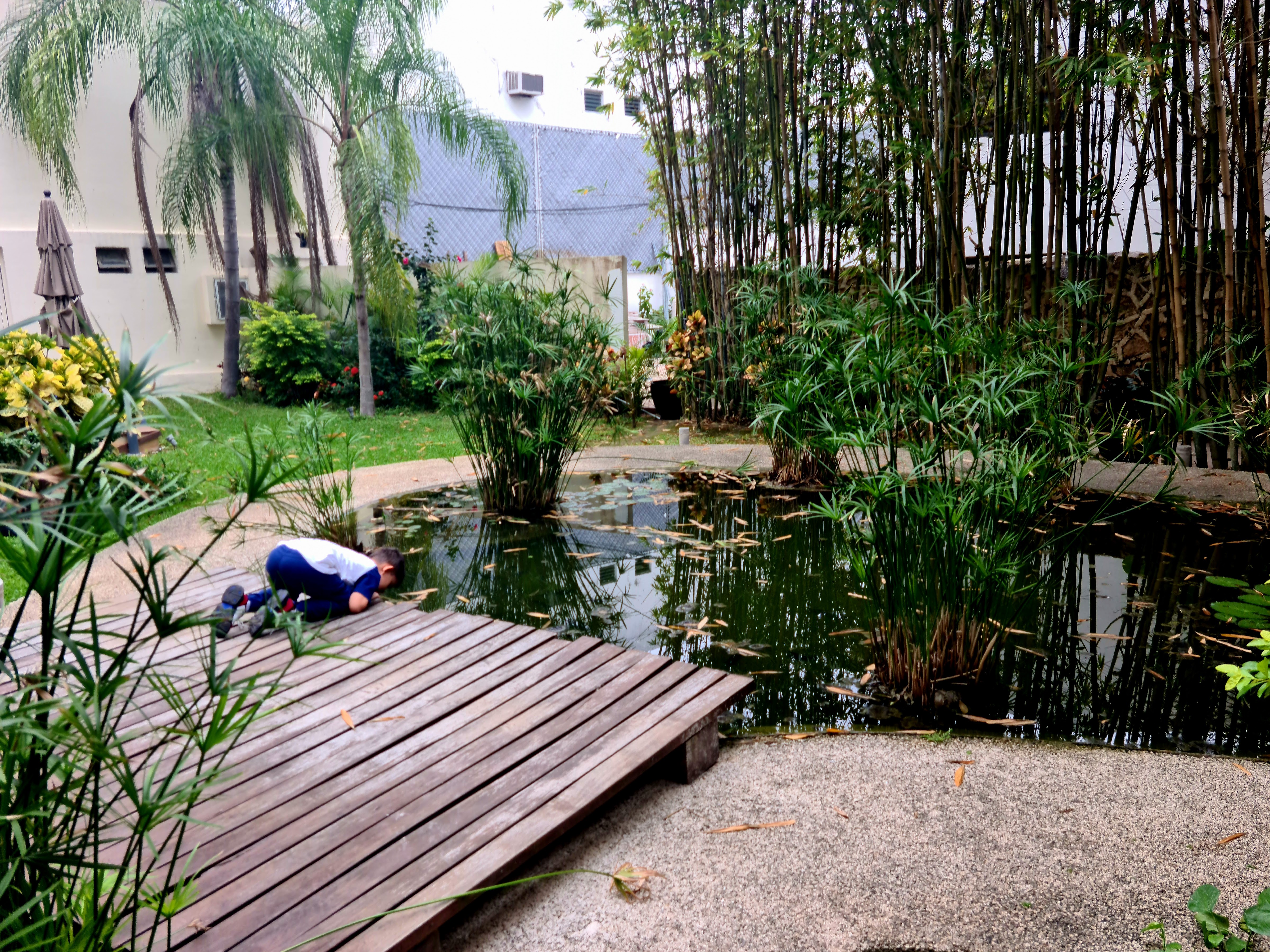 Restaurante Capella image 5