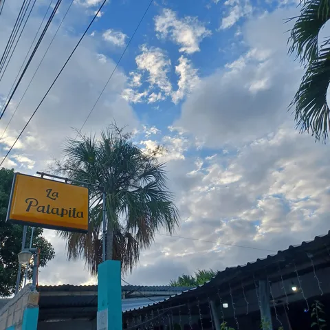 La Palapita image 4