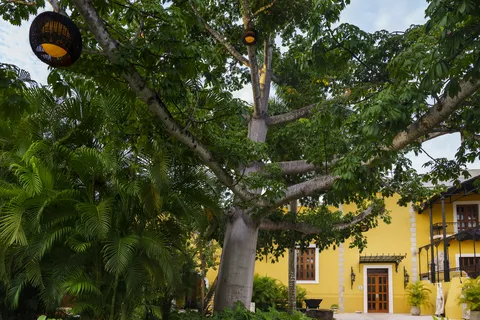 Casa de Piedra Restaurant - Hacienda Xcanatun, Angsana Heritage Collection image 8