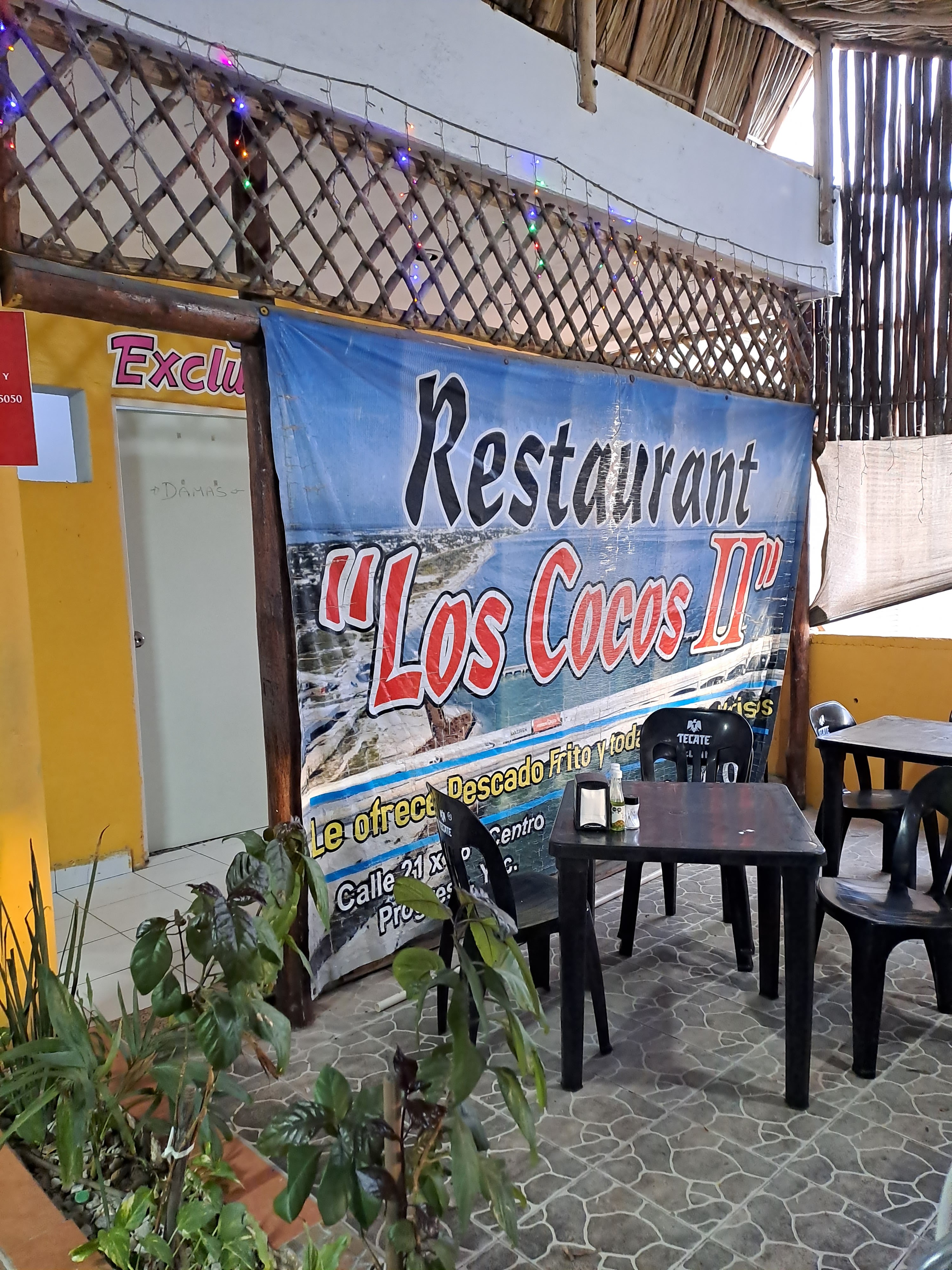 Restaurante Los Cocos ll image 1