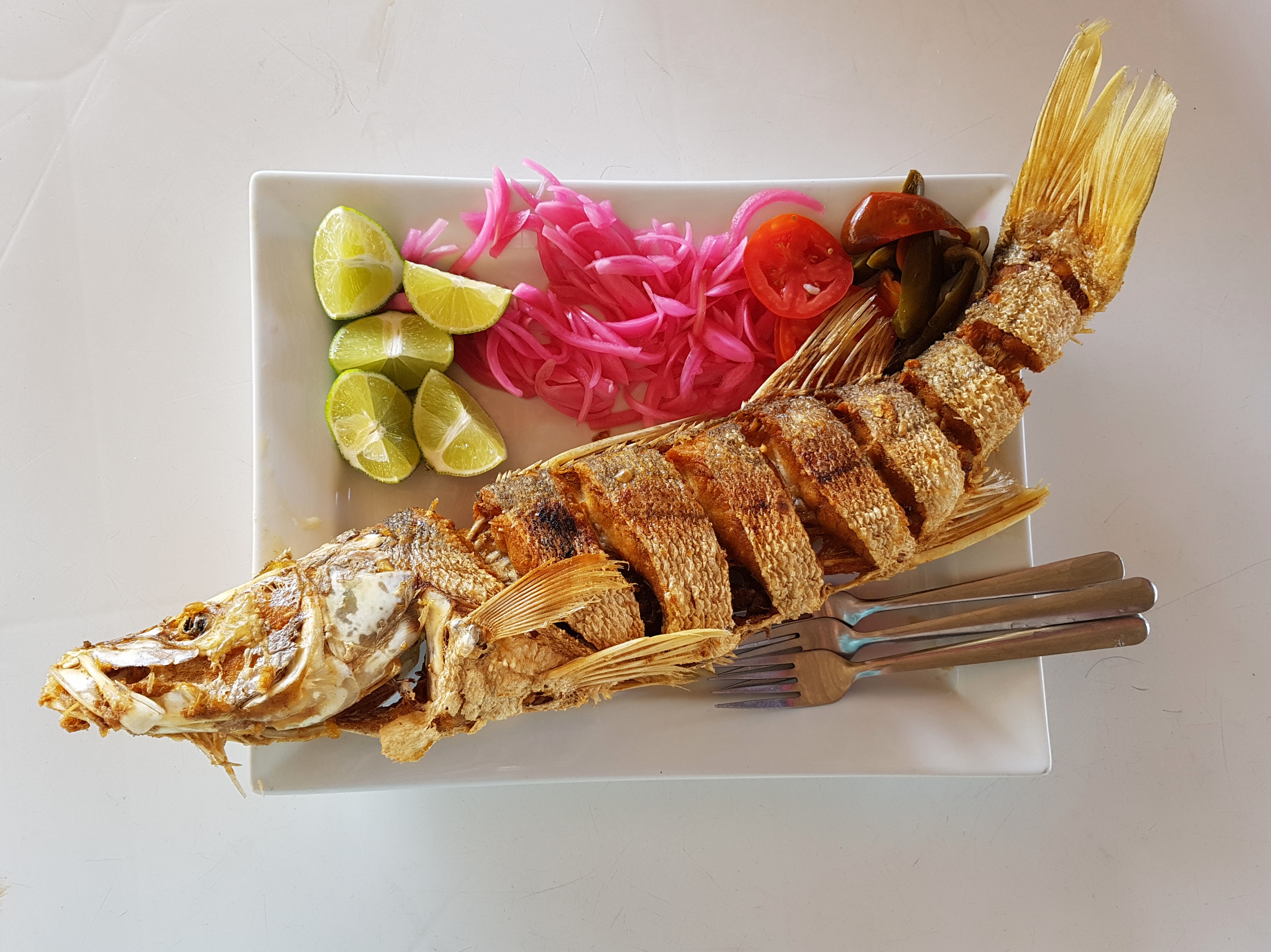 Restaurante Los Cocos ll image 2