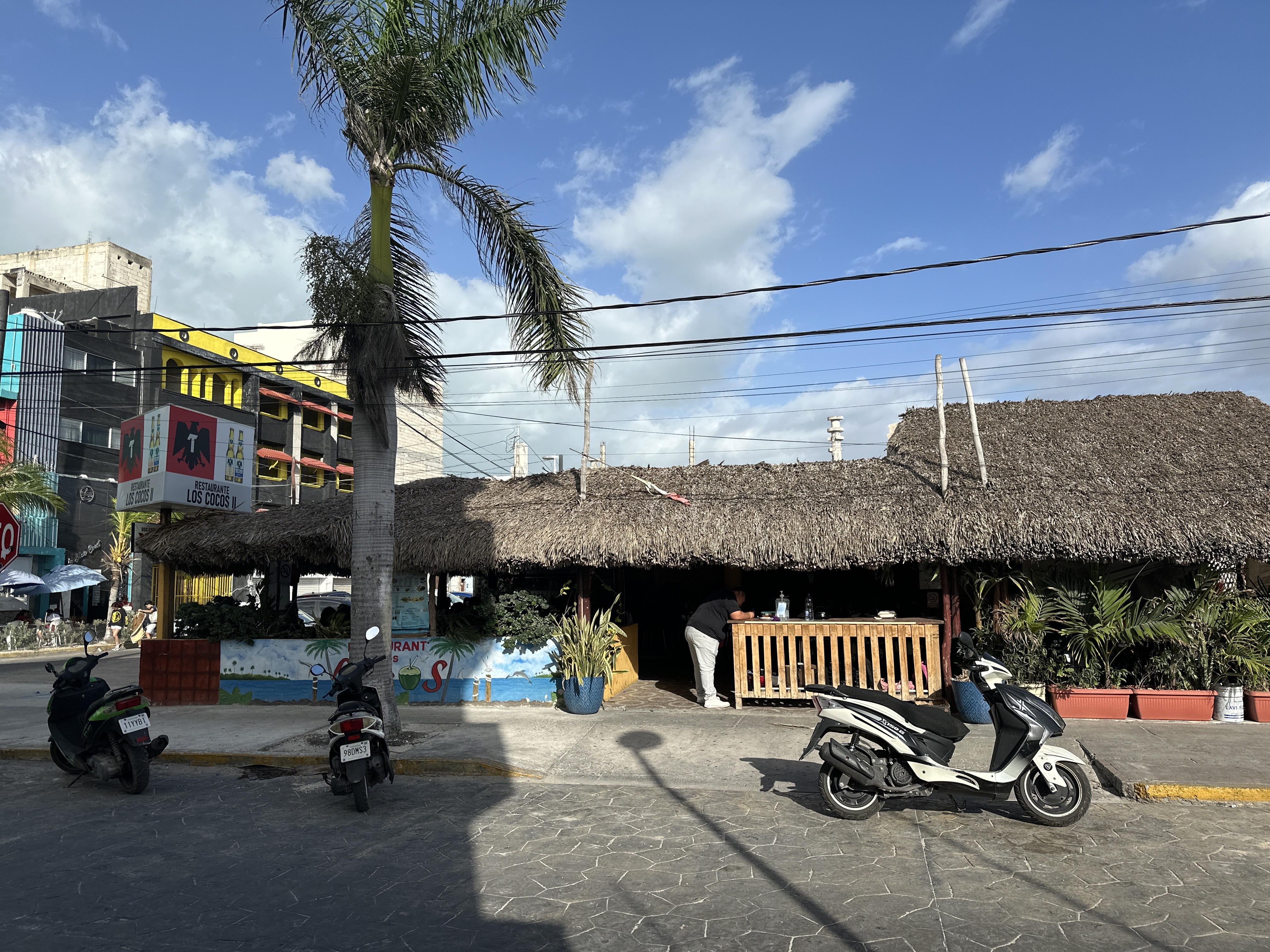 Restaurante Los Cocos ll image 9