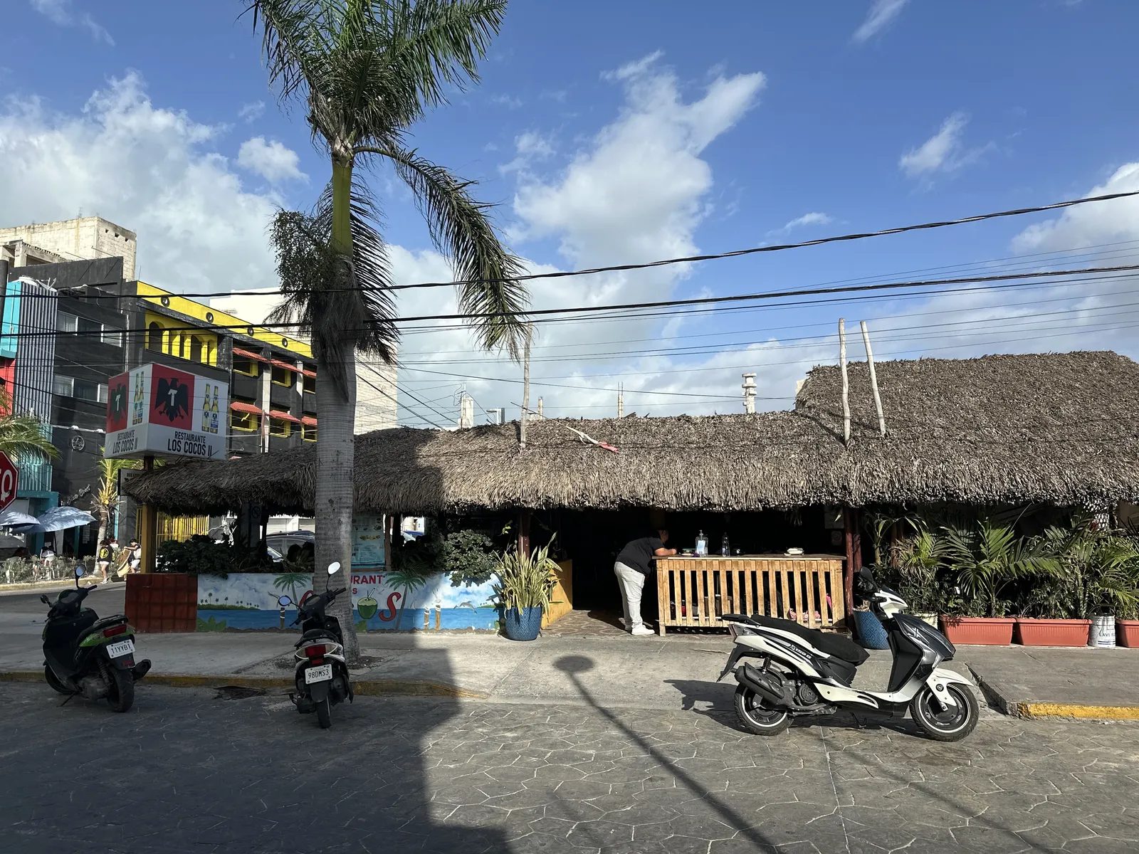 Restaurante Los Cocos ll image 9