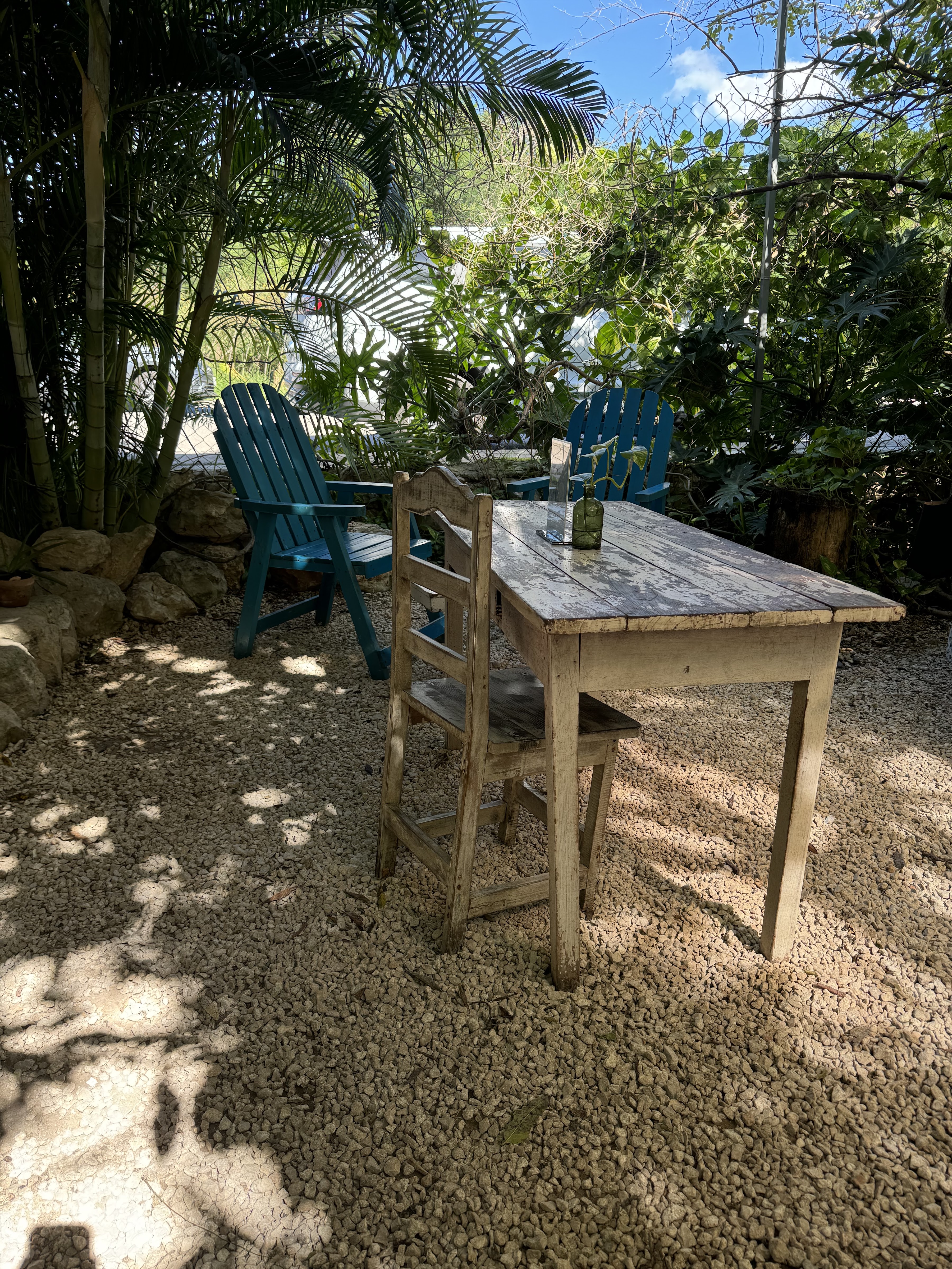 Vida Mía Restaurante Mid. image 4