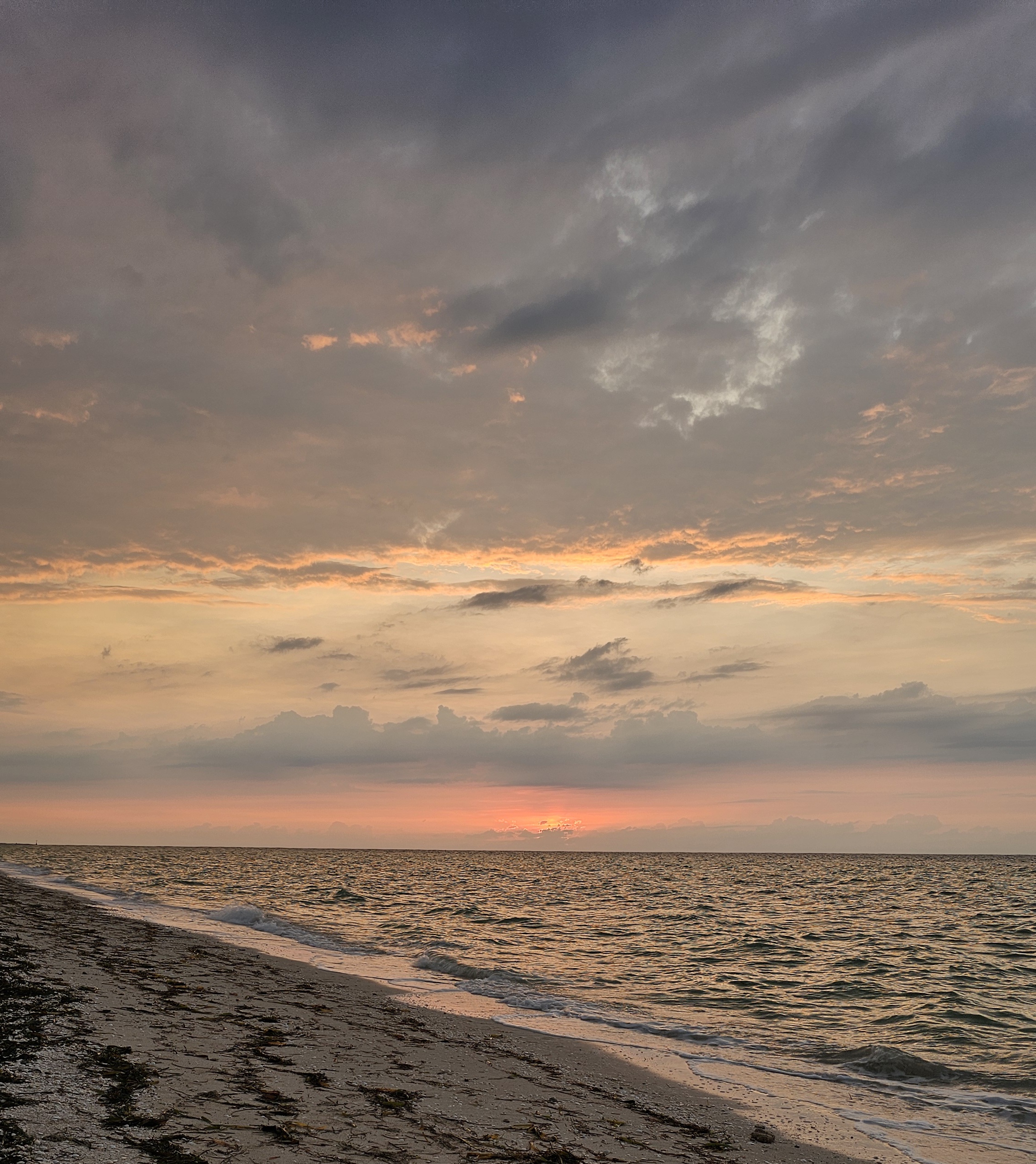 Restaurante Miramar de Jorgito image 7