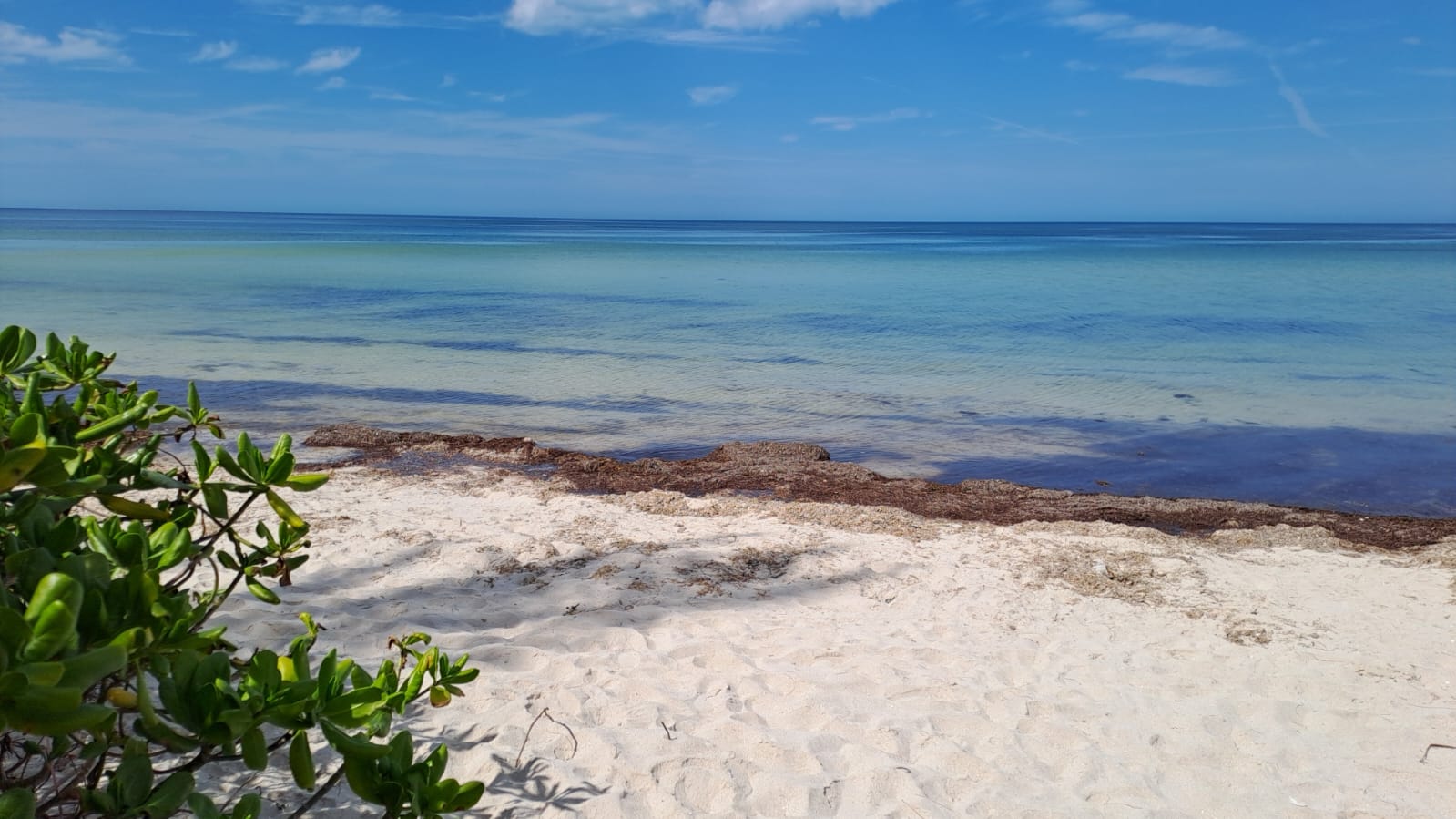 Restaurant Bella Mar image 4