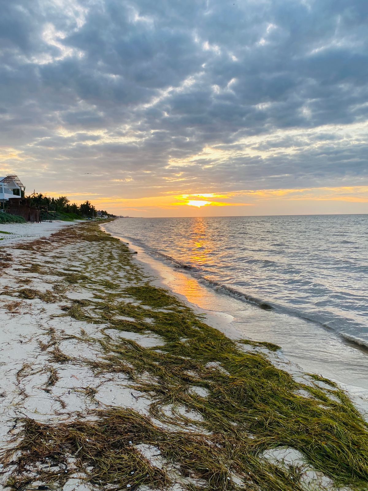 Restaurant Bella Mar image 7