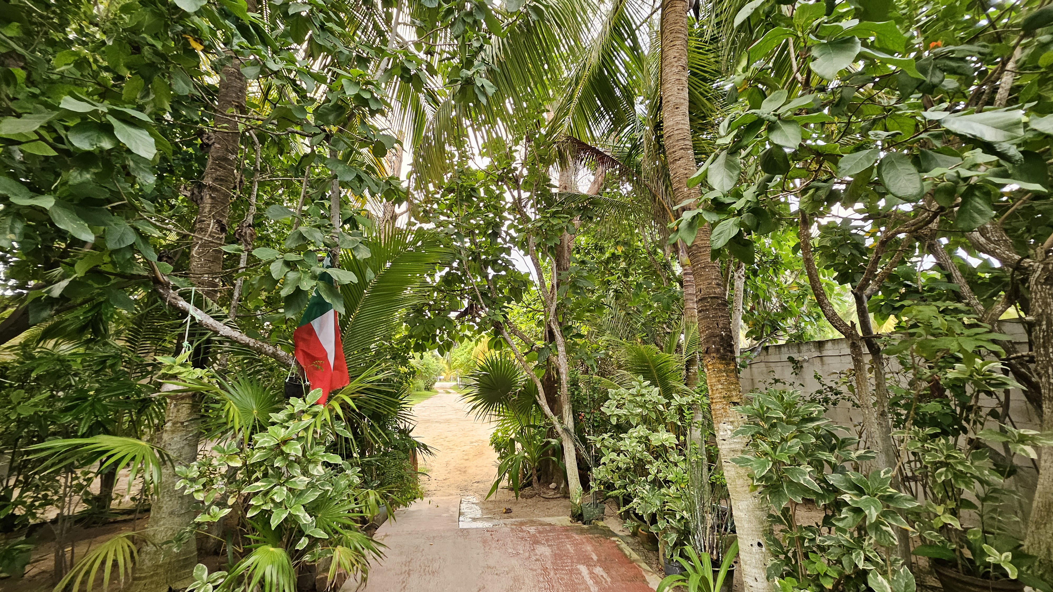 Restaurant Bella Mar image 9