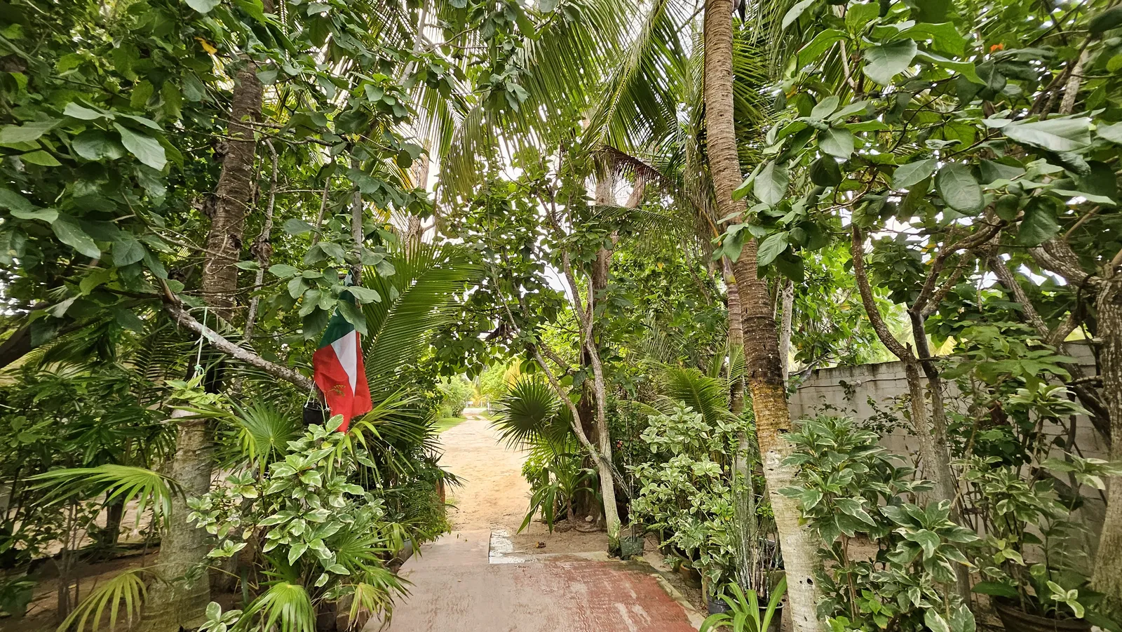 Restaurant Bella Mar image 9