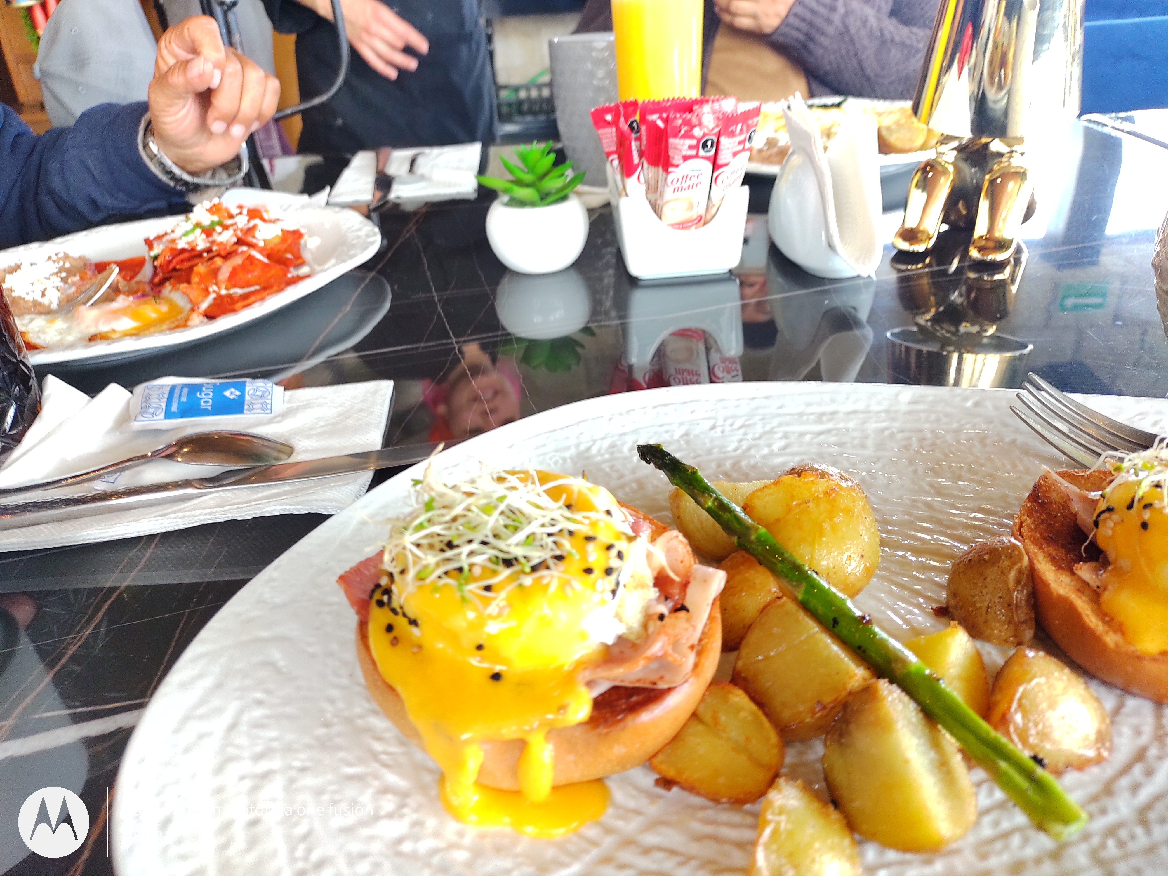 Bonito Restaurant image 8