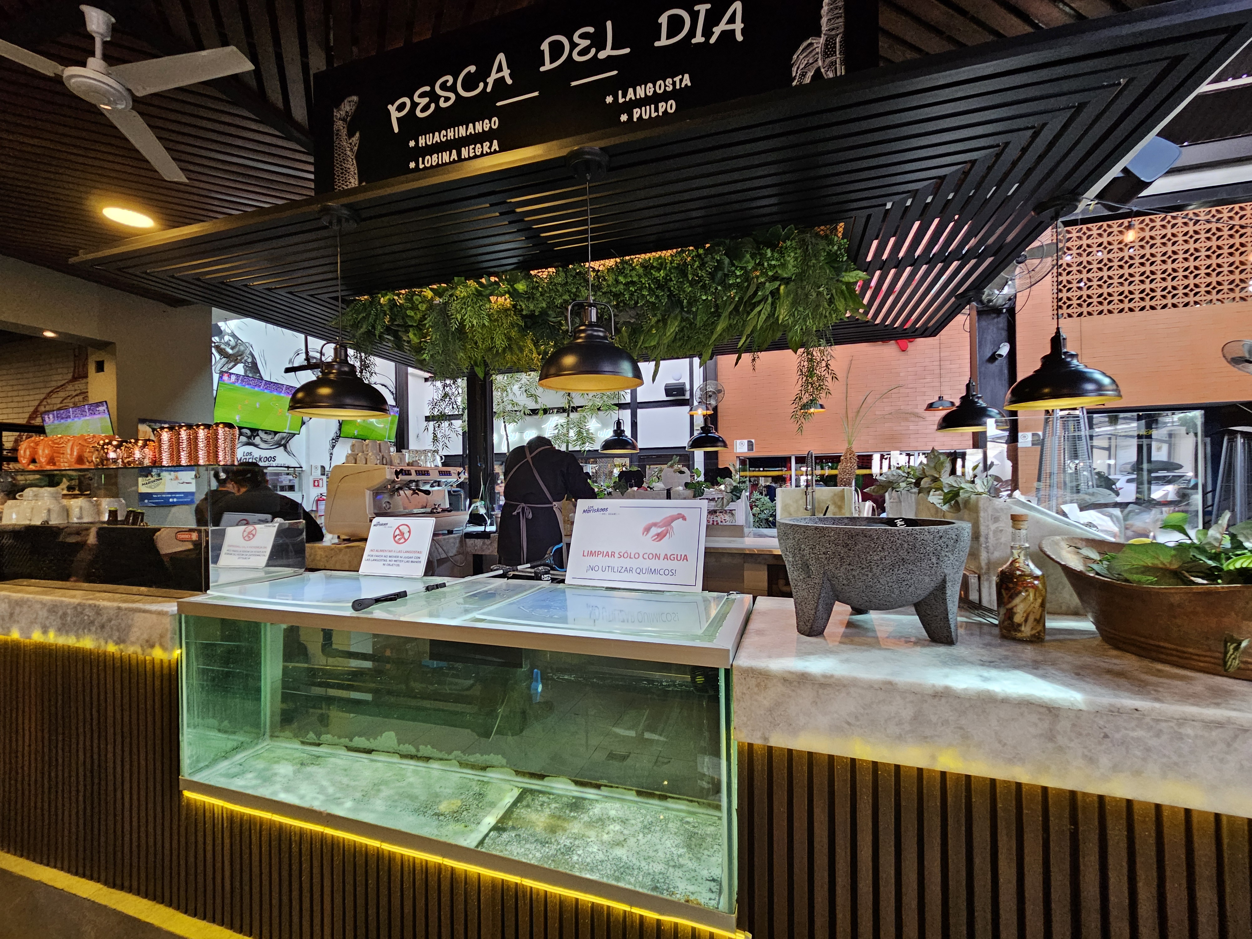 Los Mariskoos del Huari Trc image 5