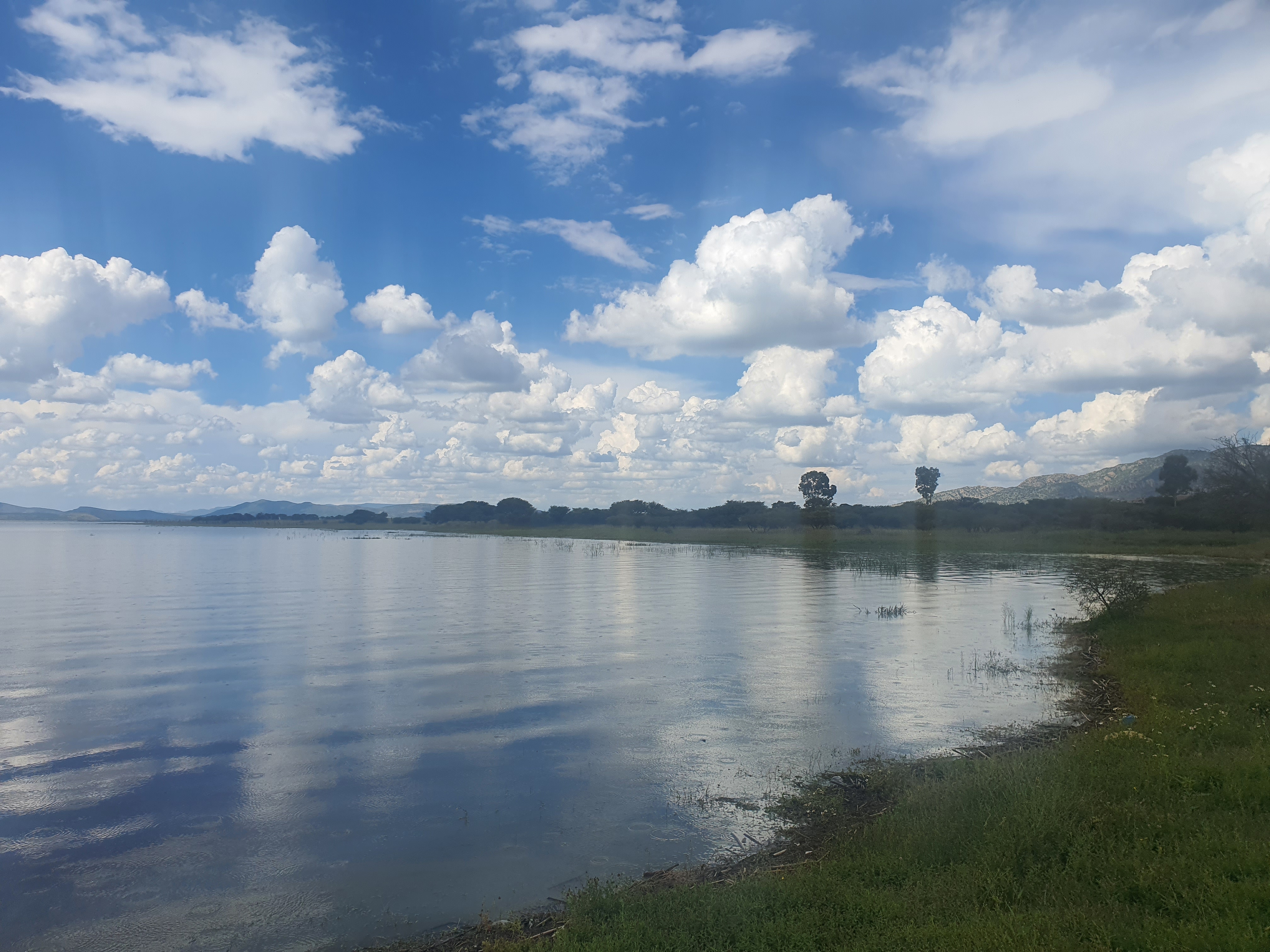 Pescado Frito image 3