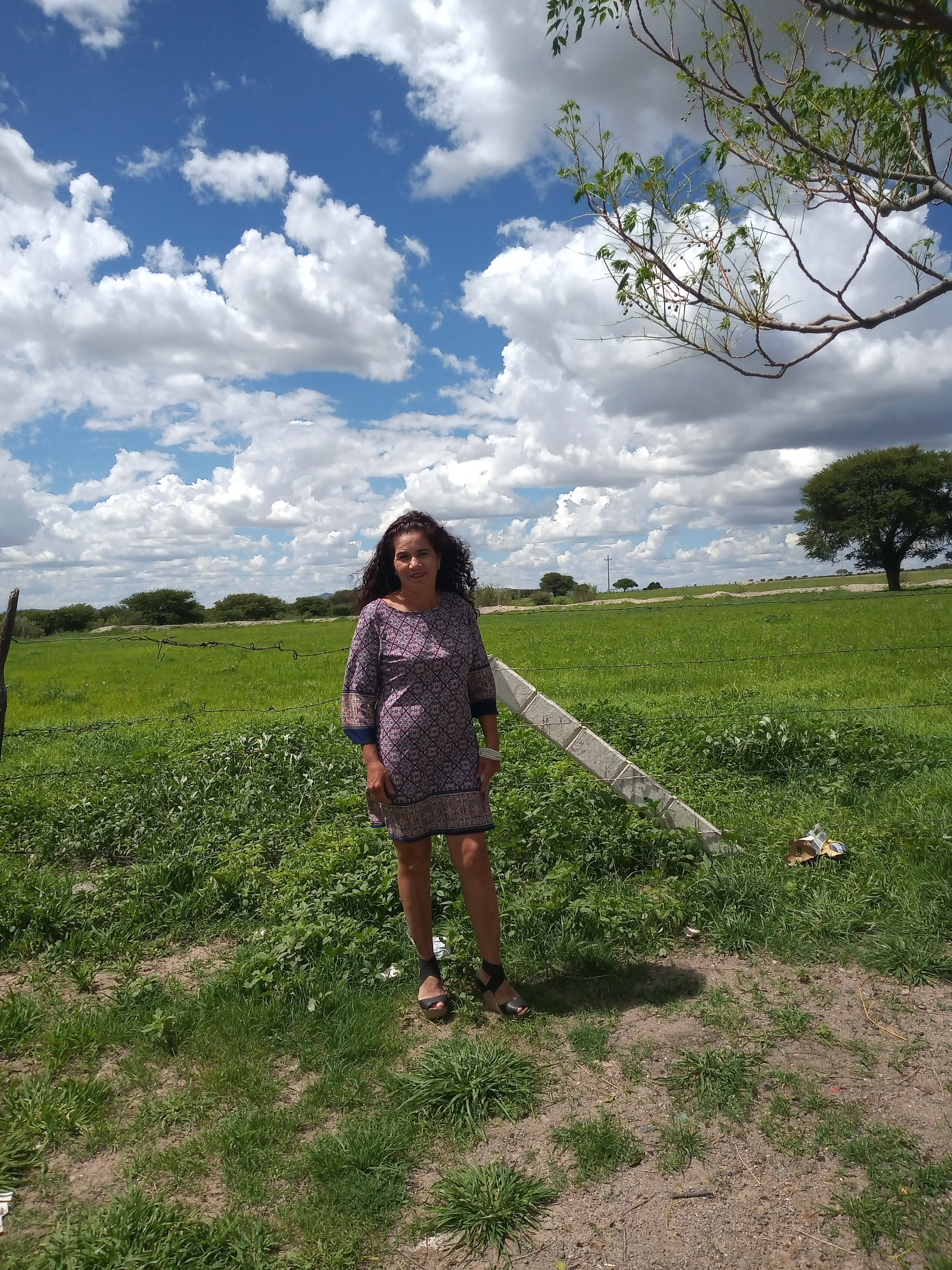 Pescado Frito image 4