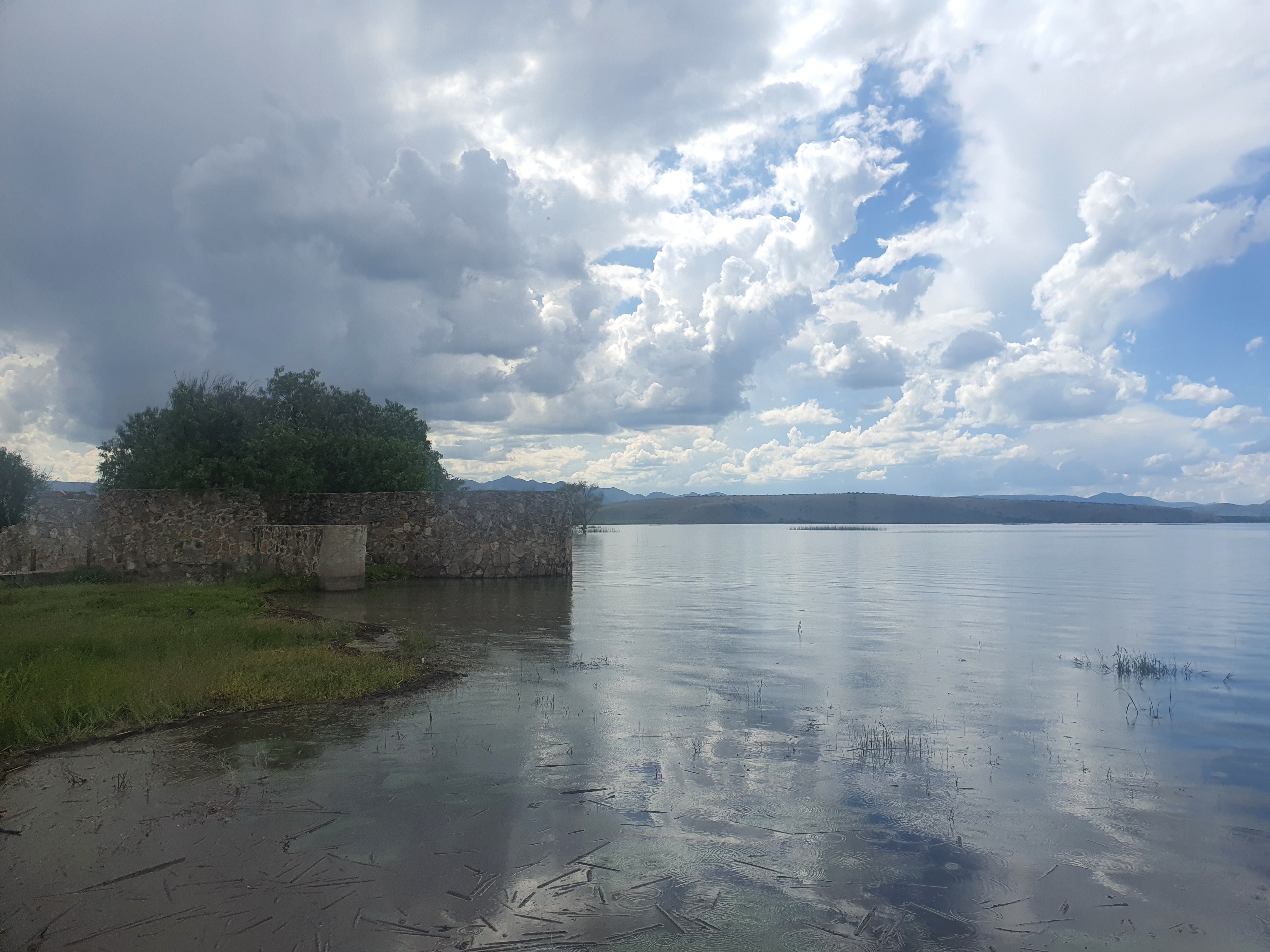 Pescado Frito image 10