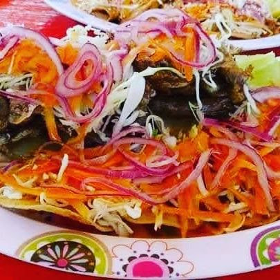 CENADURIA ANDREITA image 6