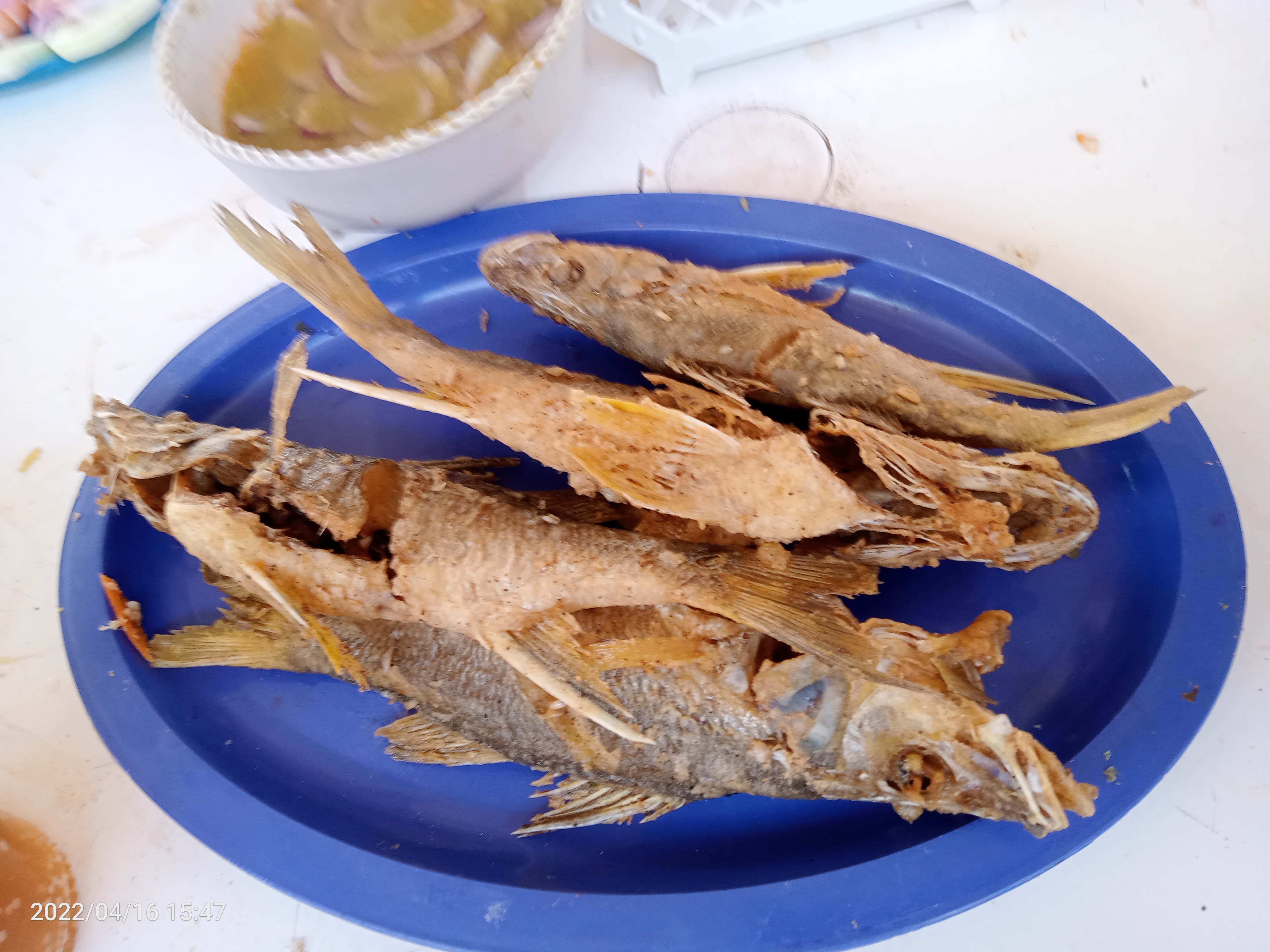 Centro Botanero Roberto's image 3