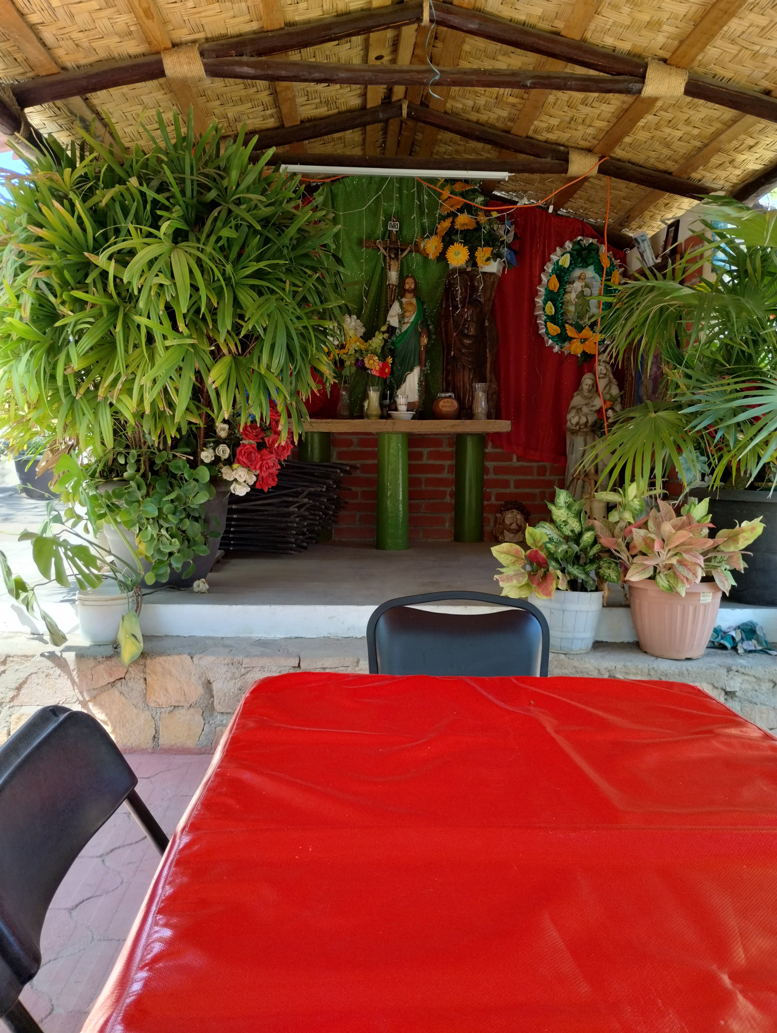 Centro Botanero Roberto's image 7