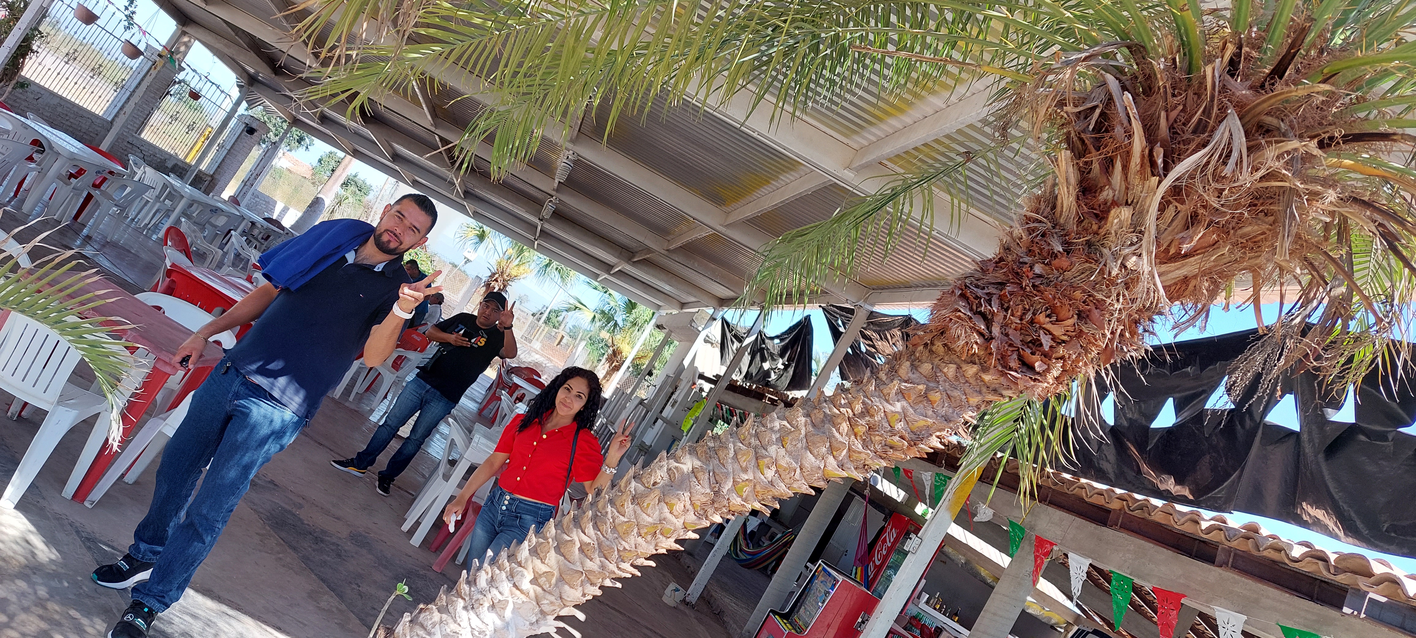 Centro Botanero Roberto's image 9