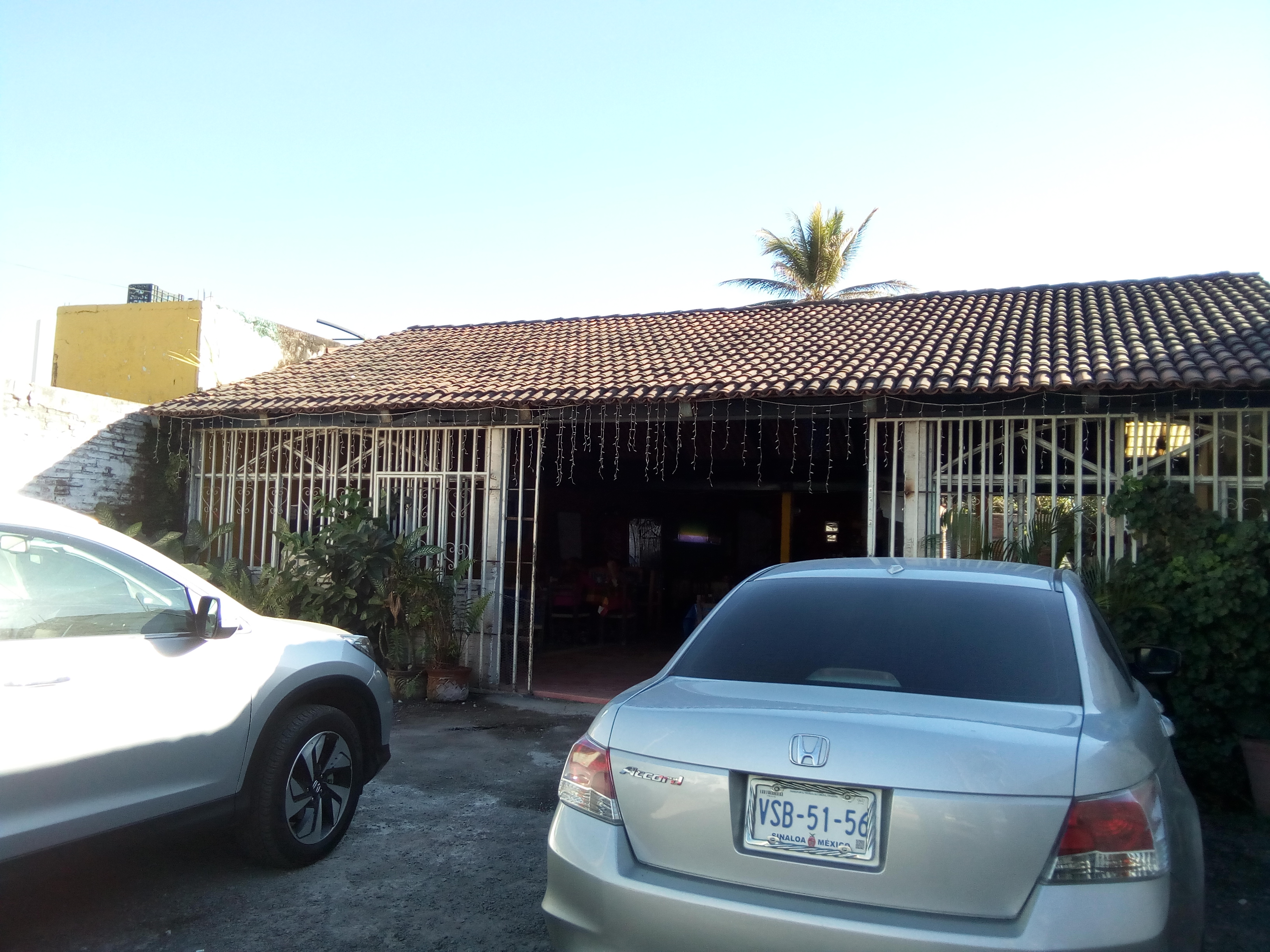 Restaurant Lucy image 4