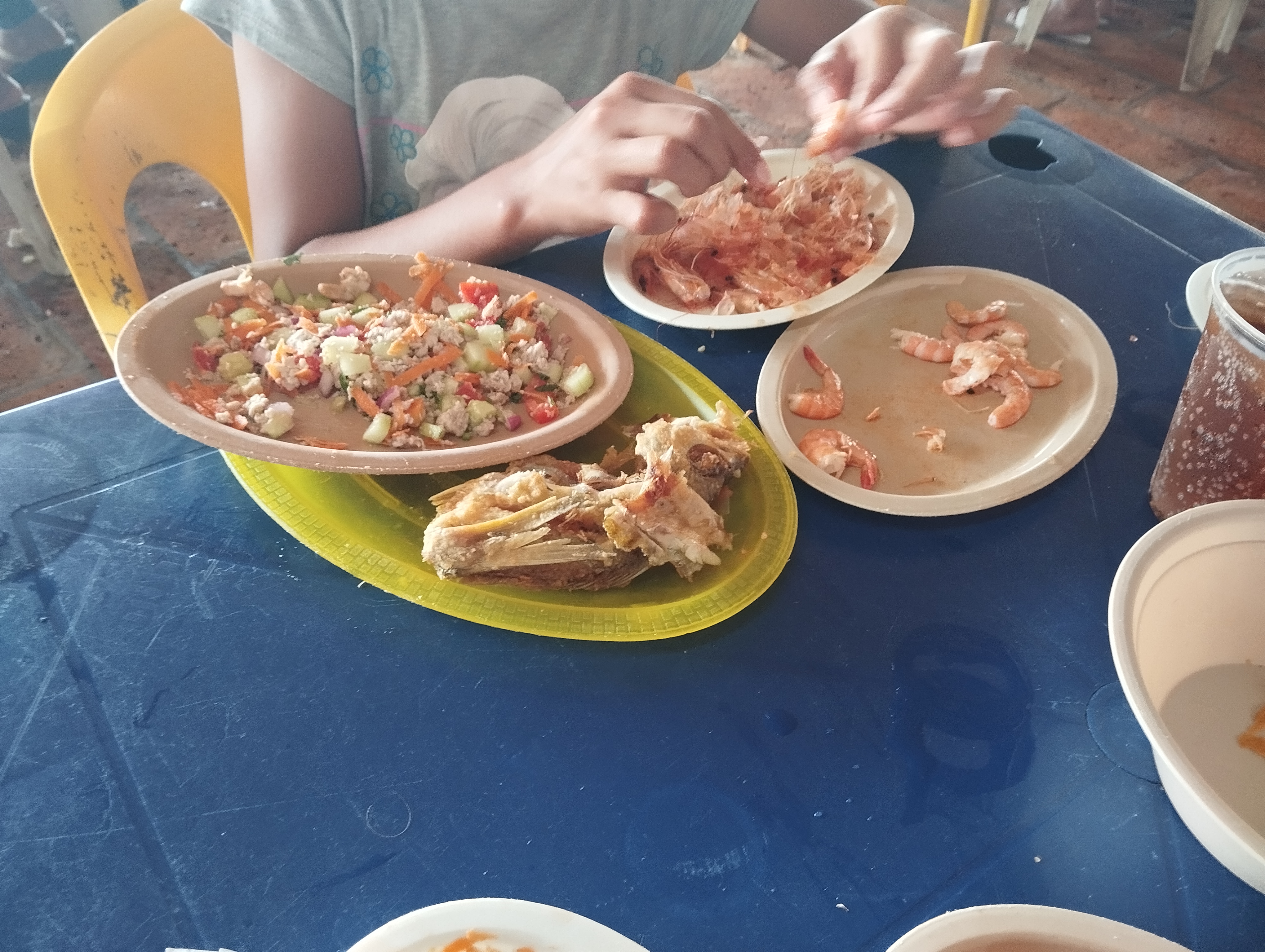 CENTRO BOTANERO EL Dorado image 3