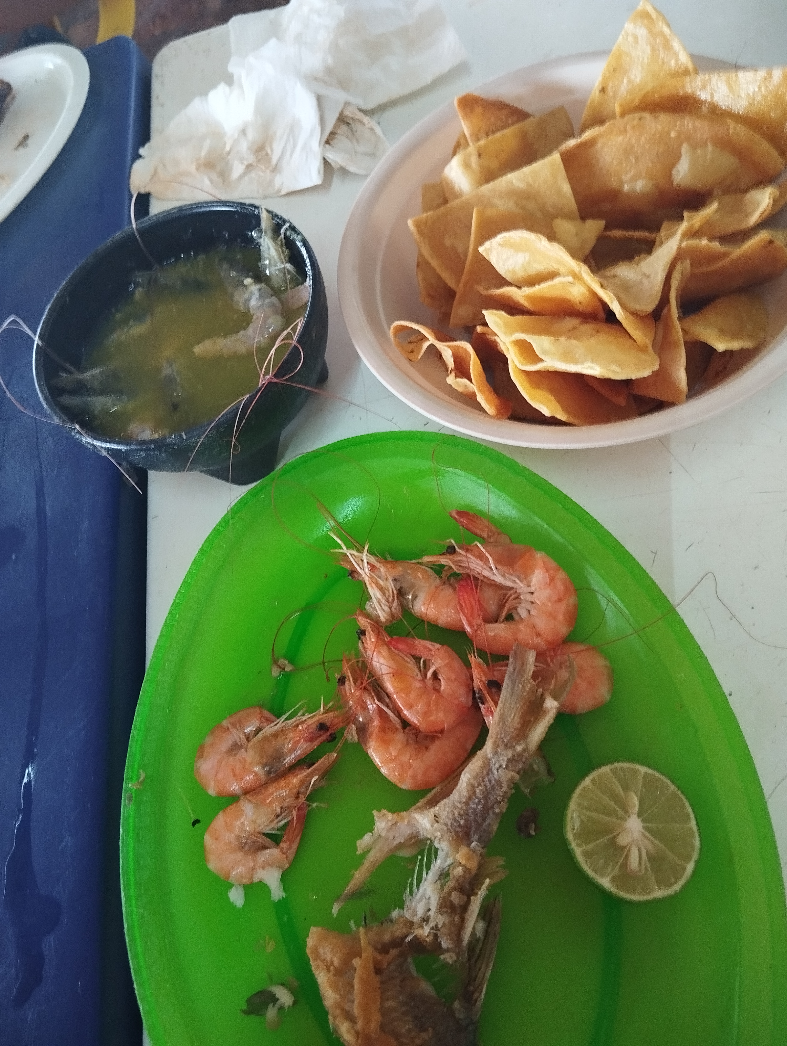 CENTRO BOTANERO EL Dorado image 5