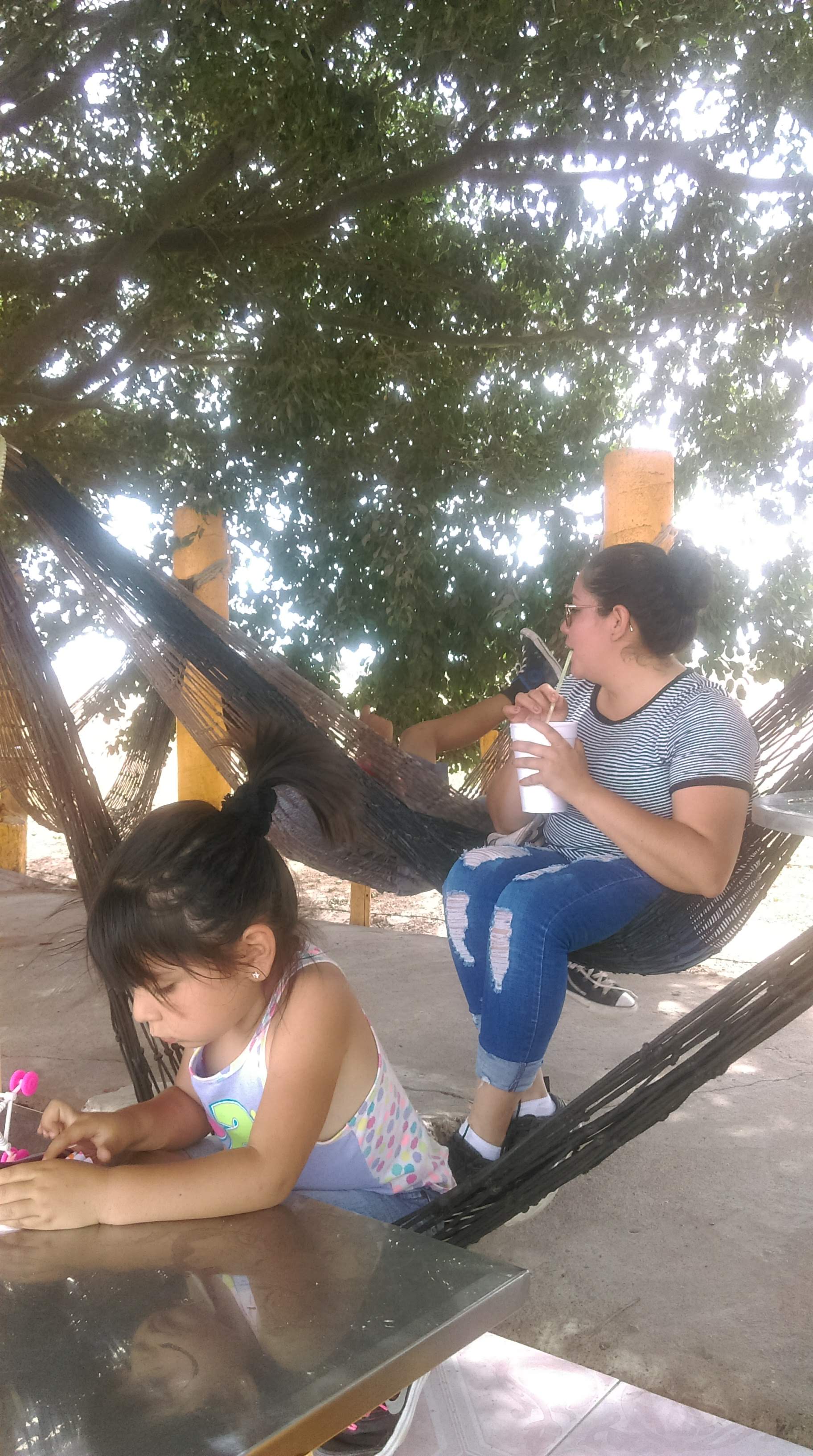 Centro Botanero El Camaron image 5