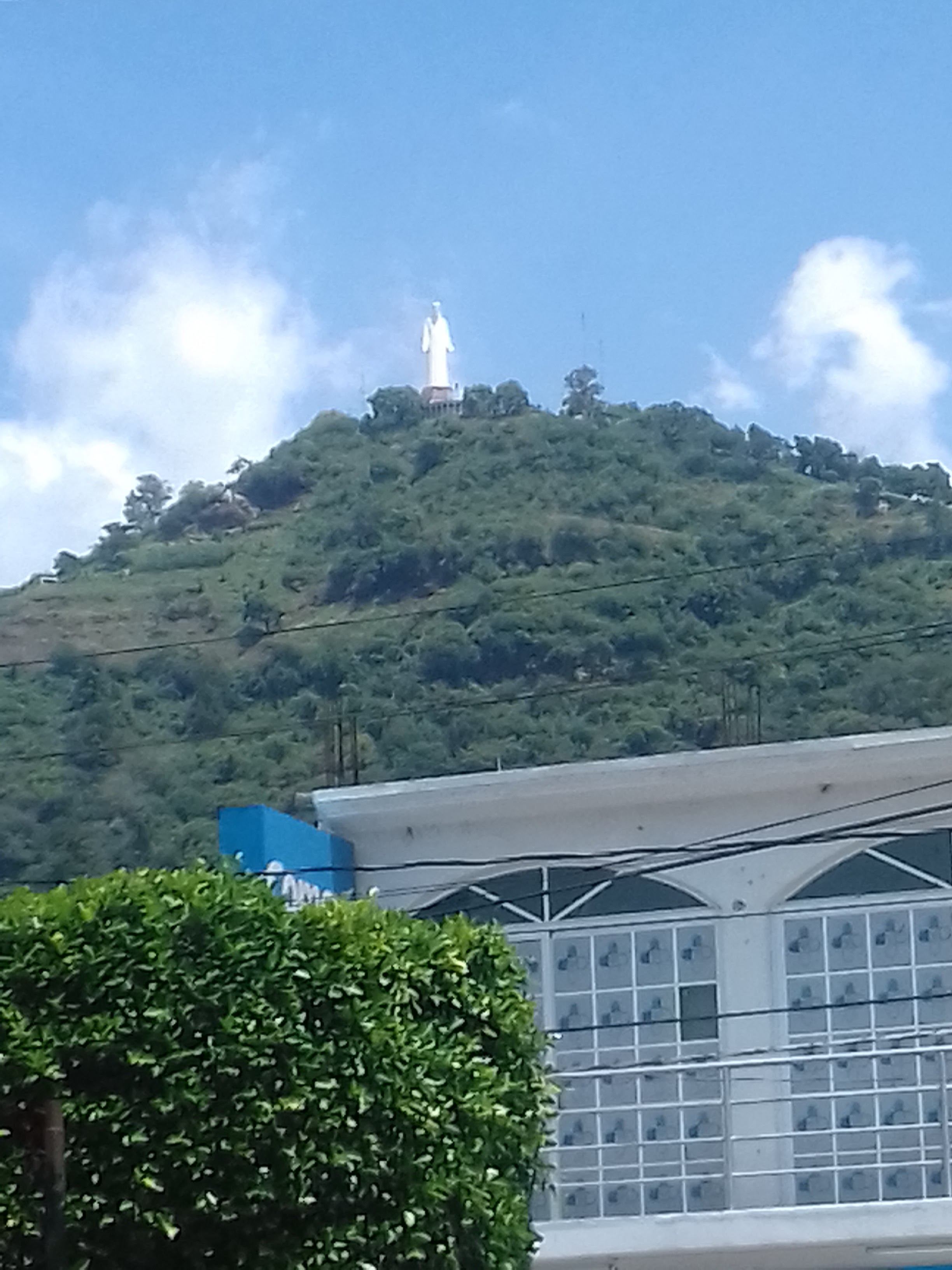 Pizzas Güeritos image 10