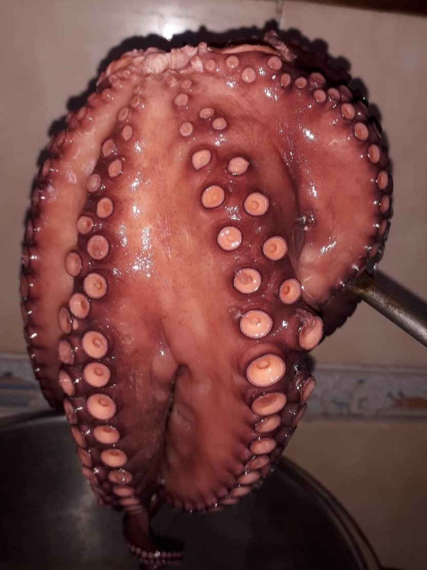 Mariscos El Gallo image 5