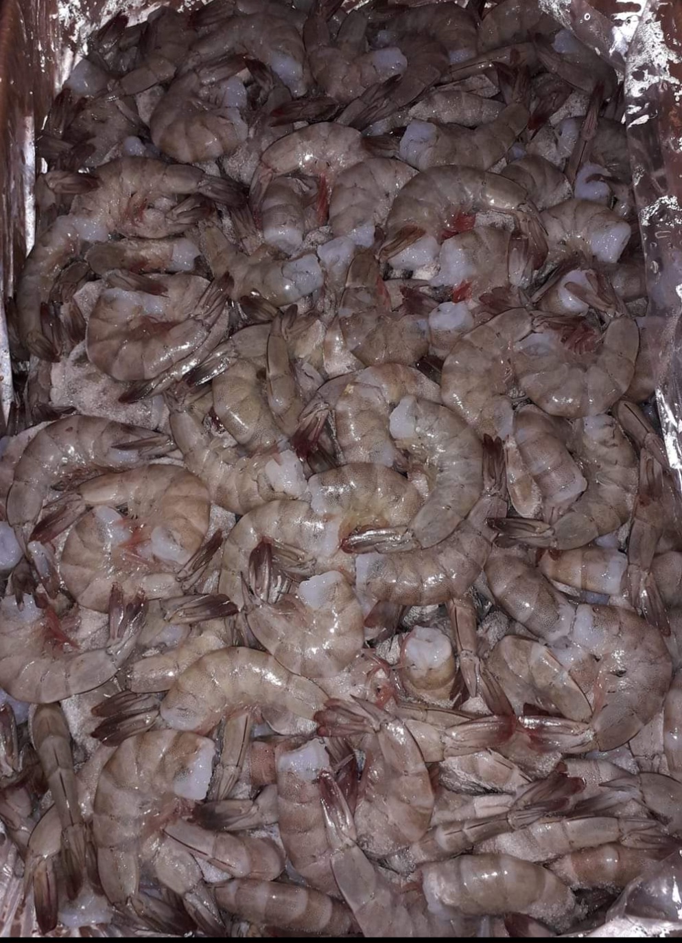 Mariscos El Gallo image 10