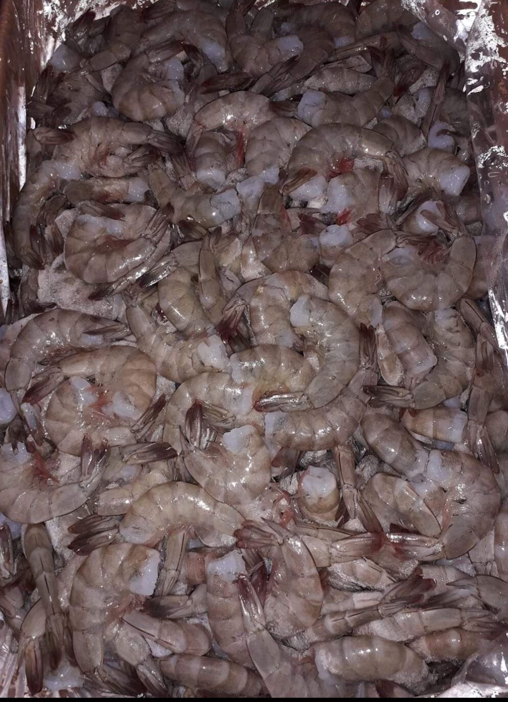 Mariscos El Gallo image 10