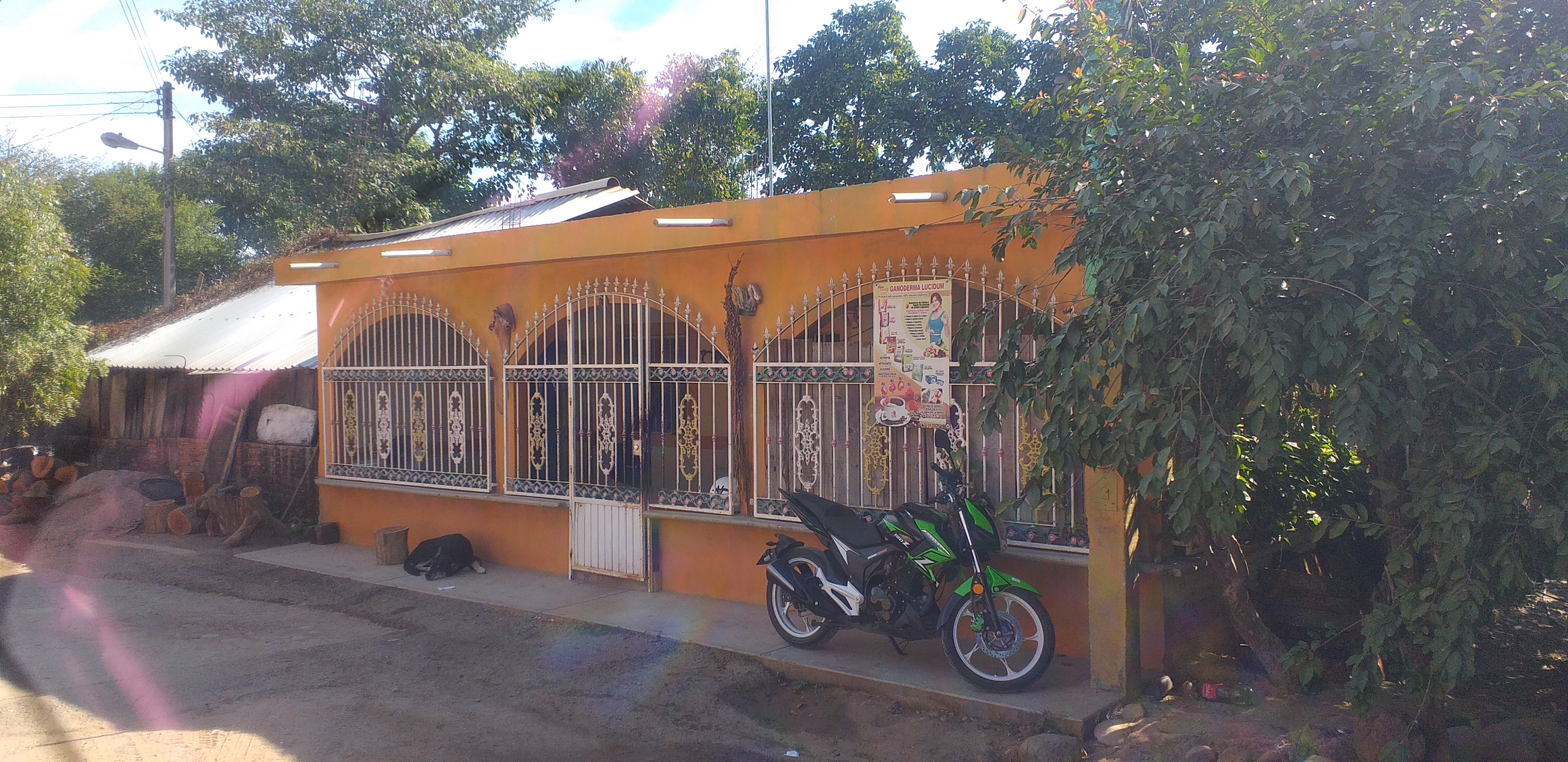 Menudo mi rey image 2