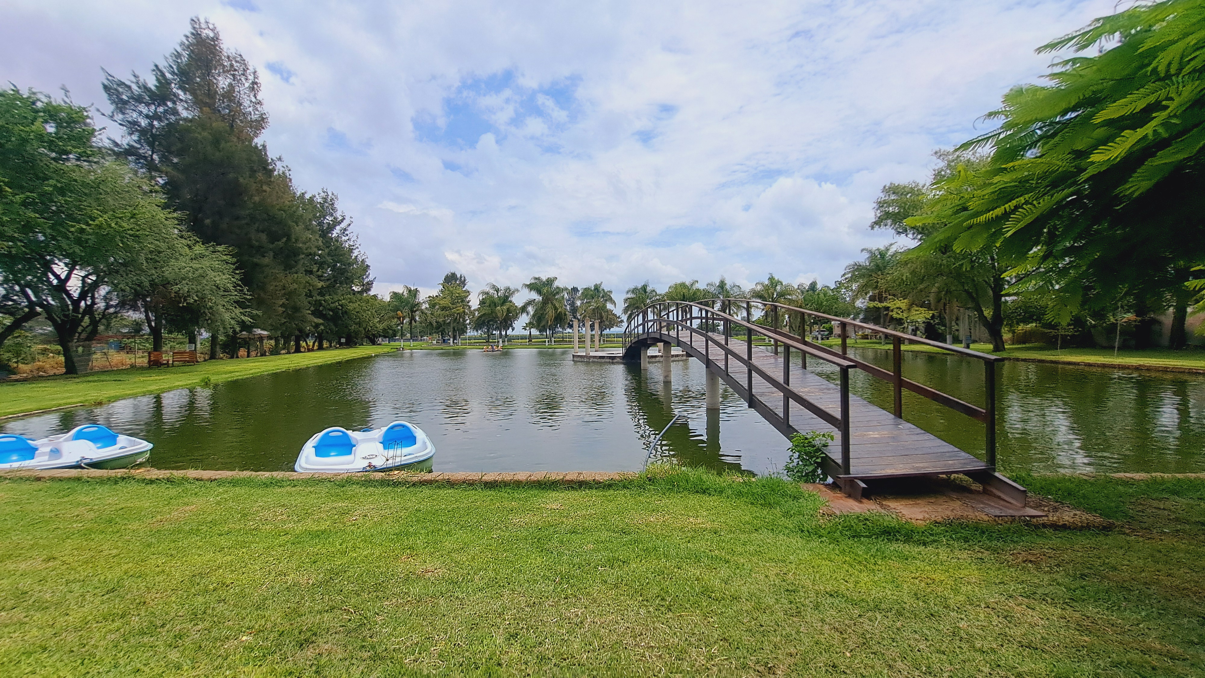 Restaurant Familiar Los Girasoles image 3