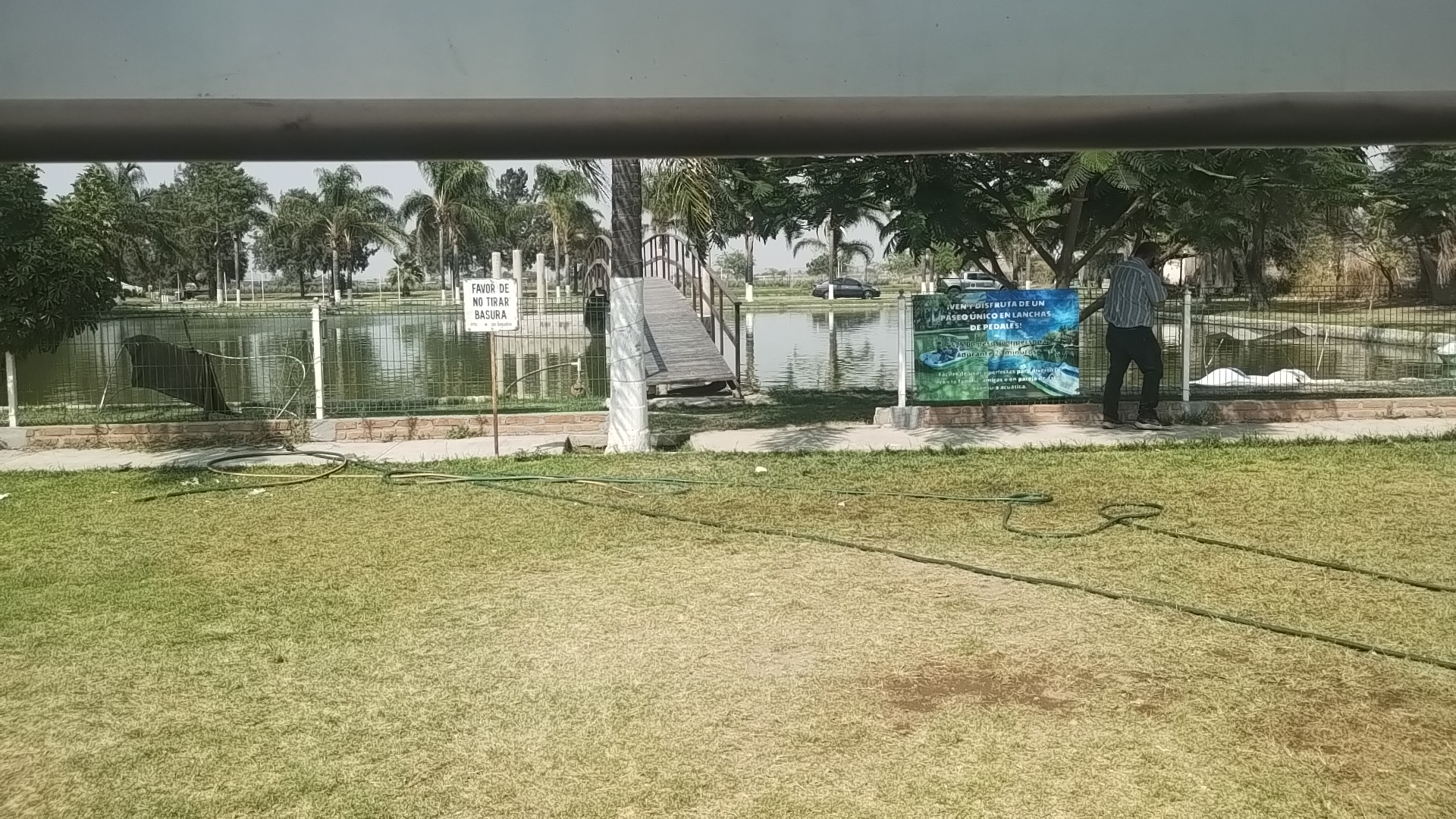 Restaurant Familiar Los Girasoles image 4