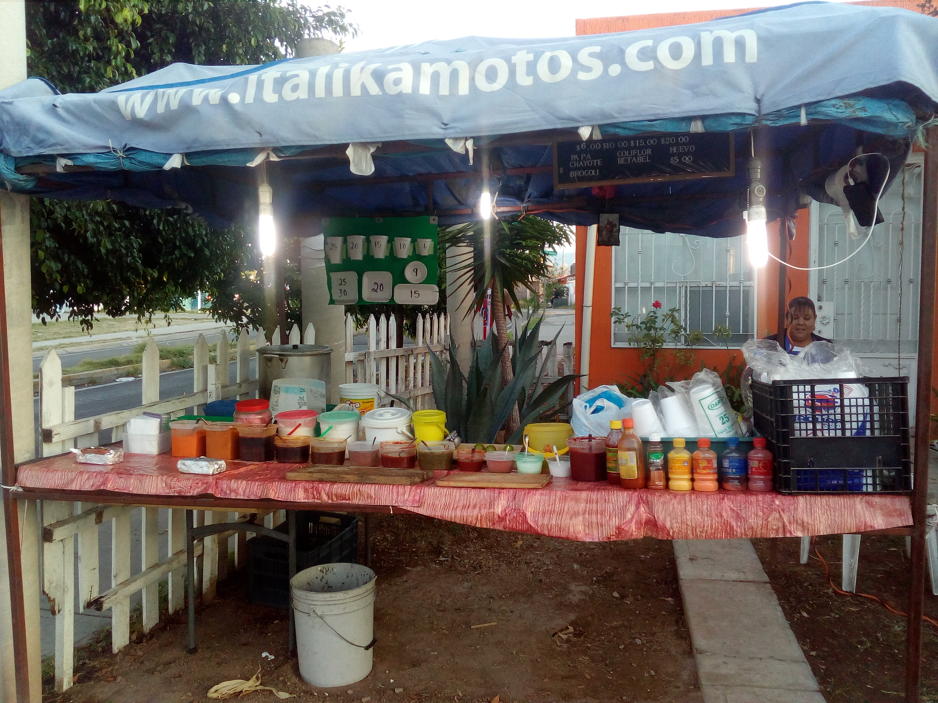 Elotes Luzma image 1