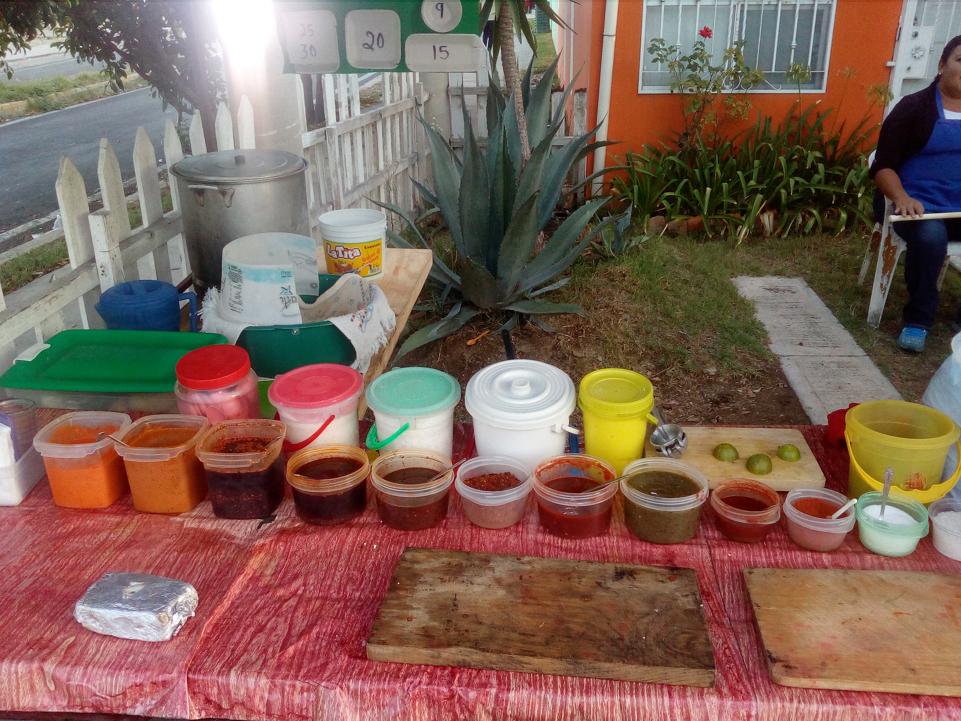 Elotes Luzma image 2