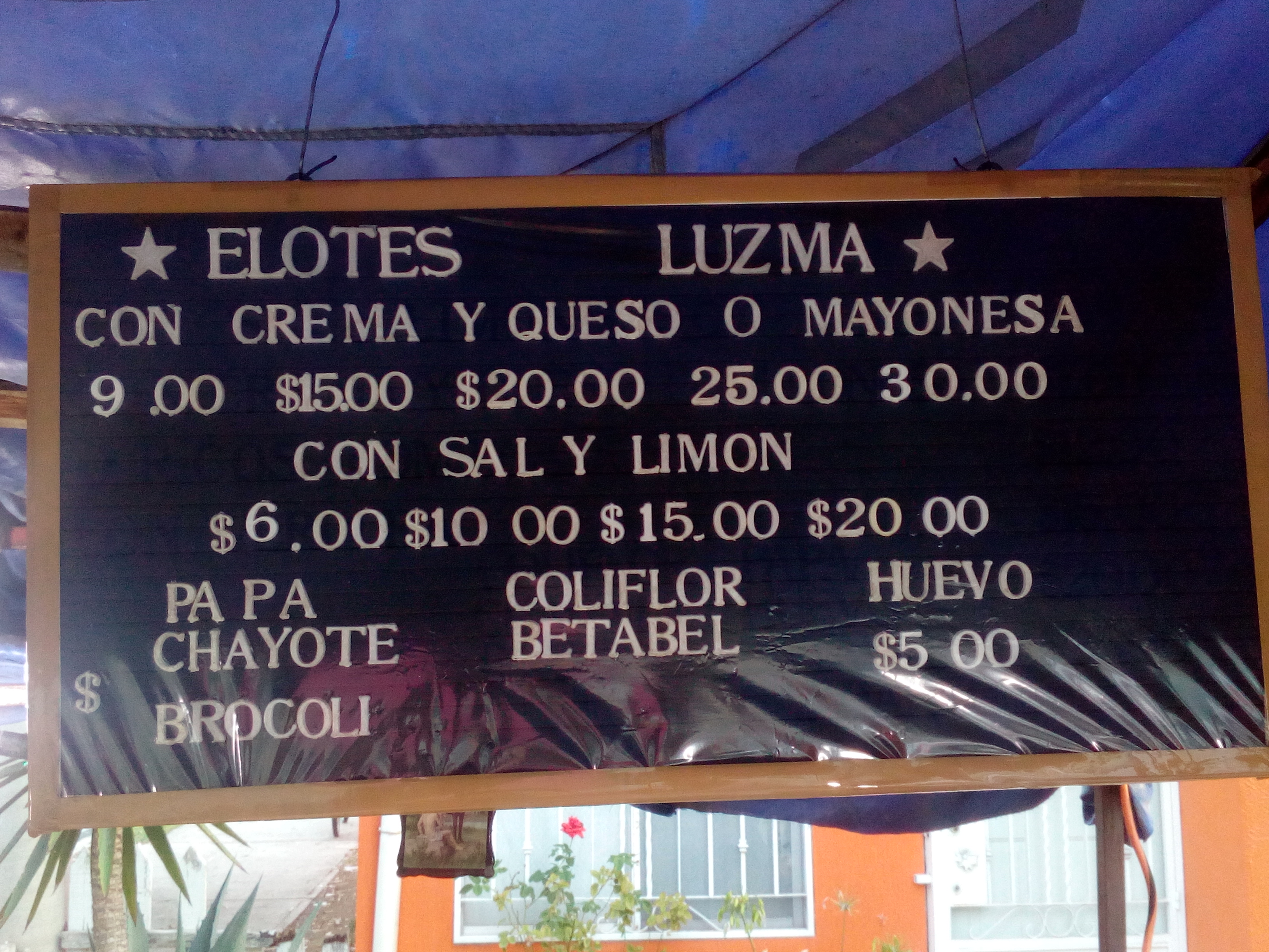 Elotes Luzma image 4