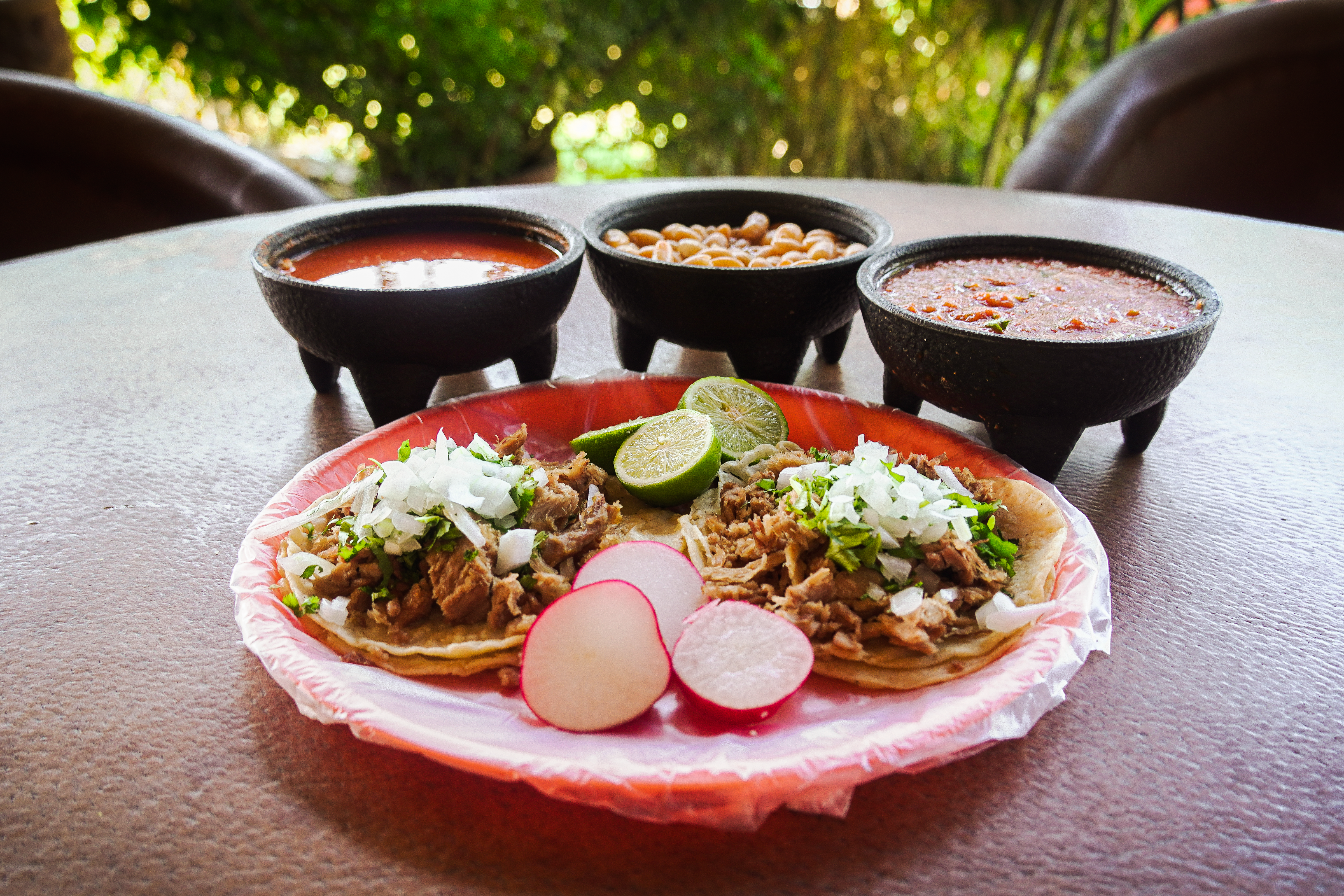 La Terraza Carnitas image 4