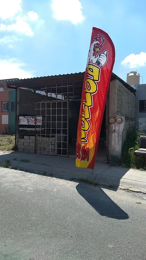 Pollito Boom image 6