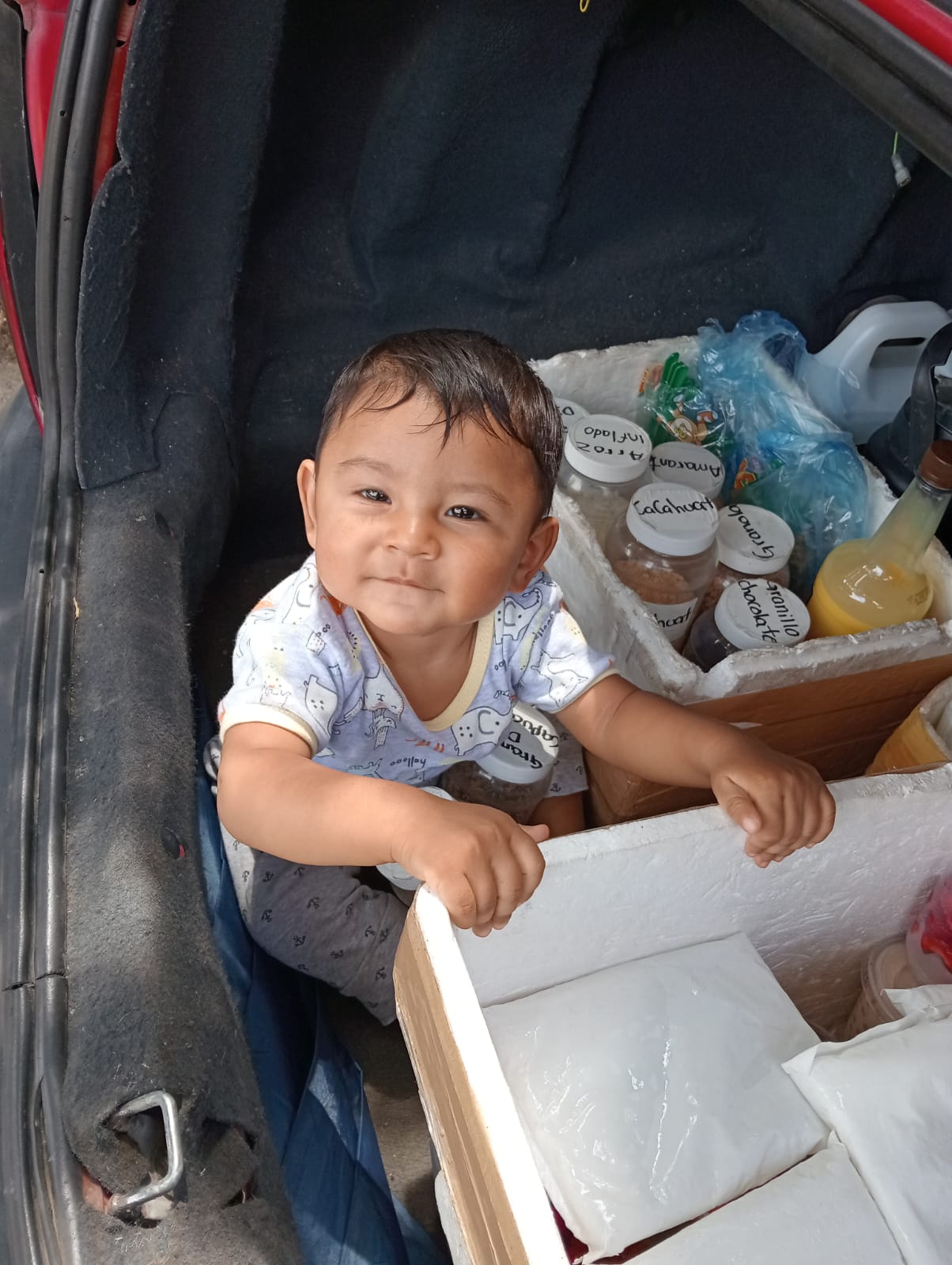 Fresas con crema Santino image 9