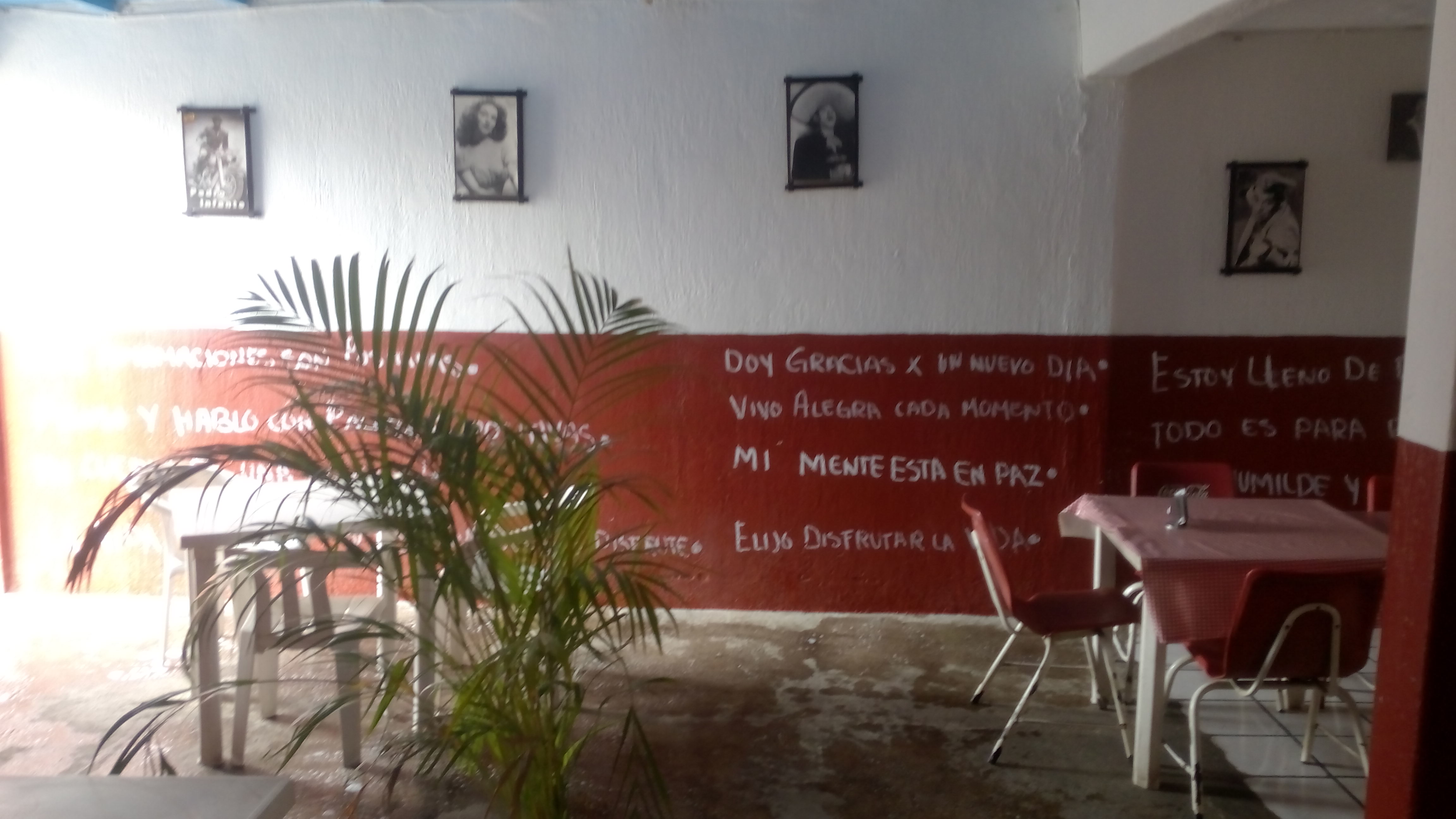 Tortas Ahogadas El Adrián image 10