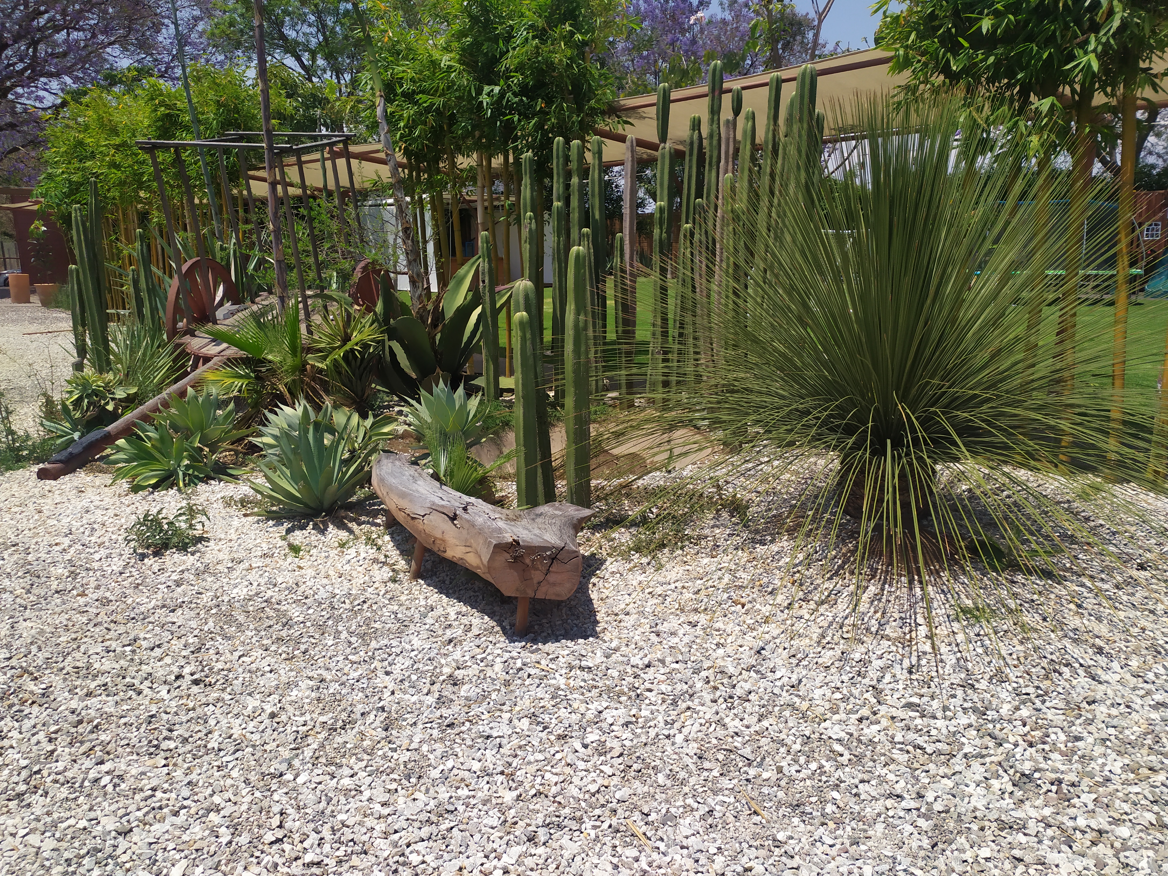 Azul Cielo Oaxaca image 6