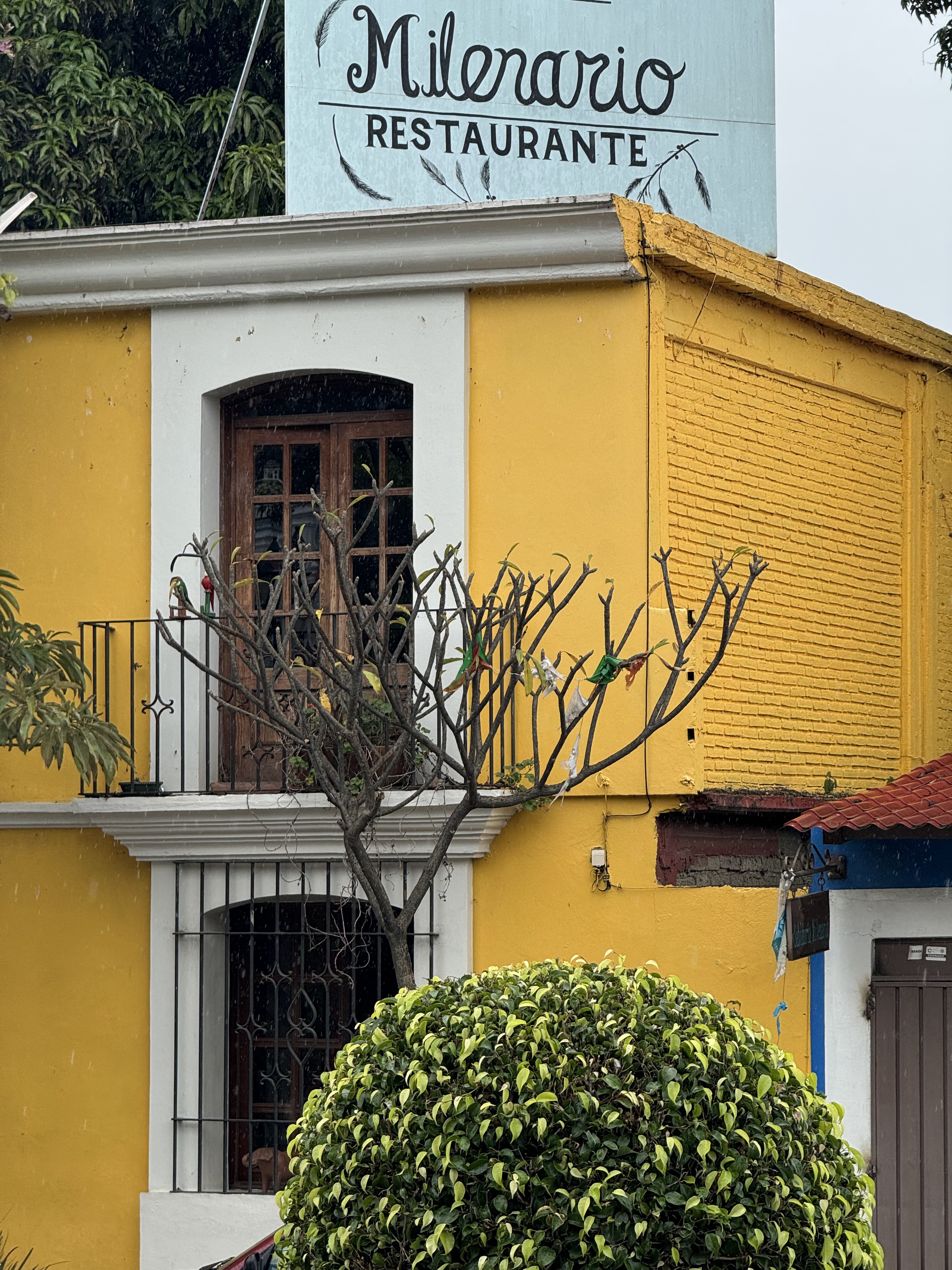 El Milenario image 5