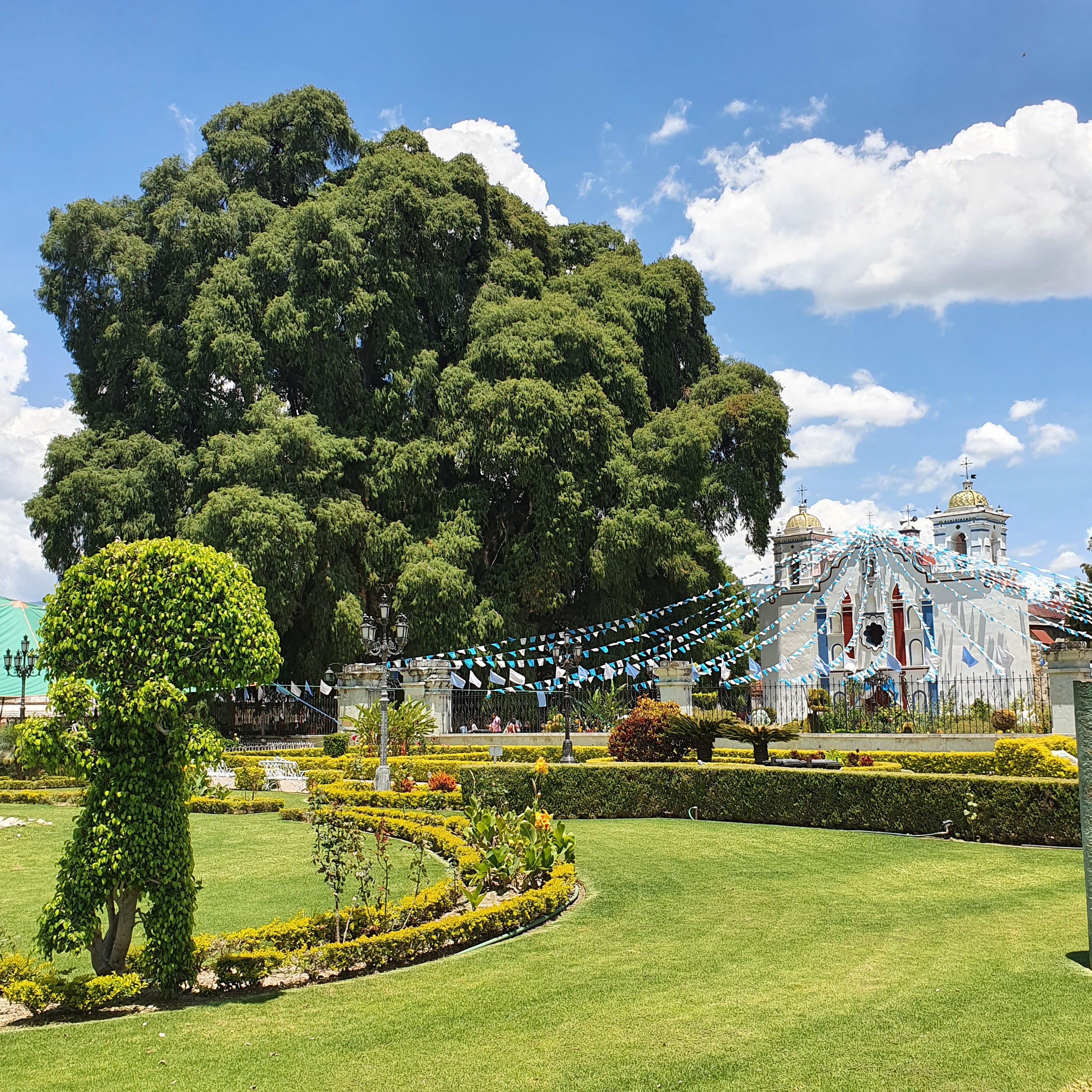 El Milenario image 8