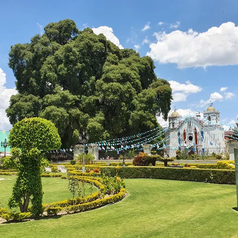 El Milenario image 8