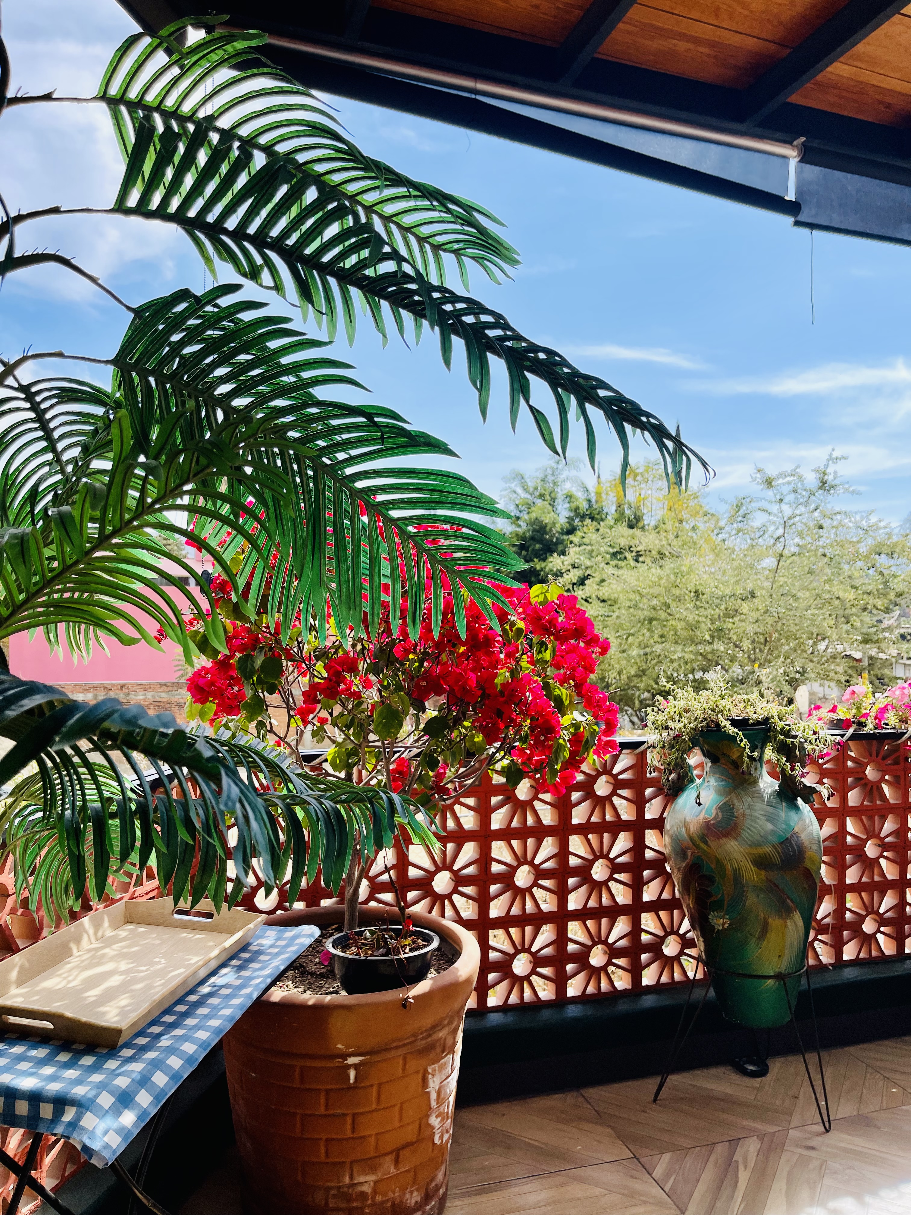 Casa Solario Restaurante Bar image 5