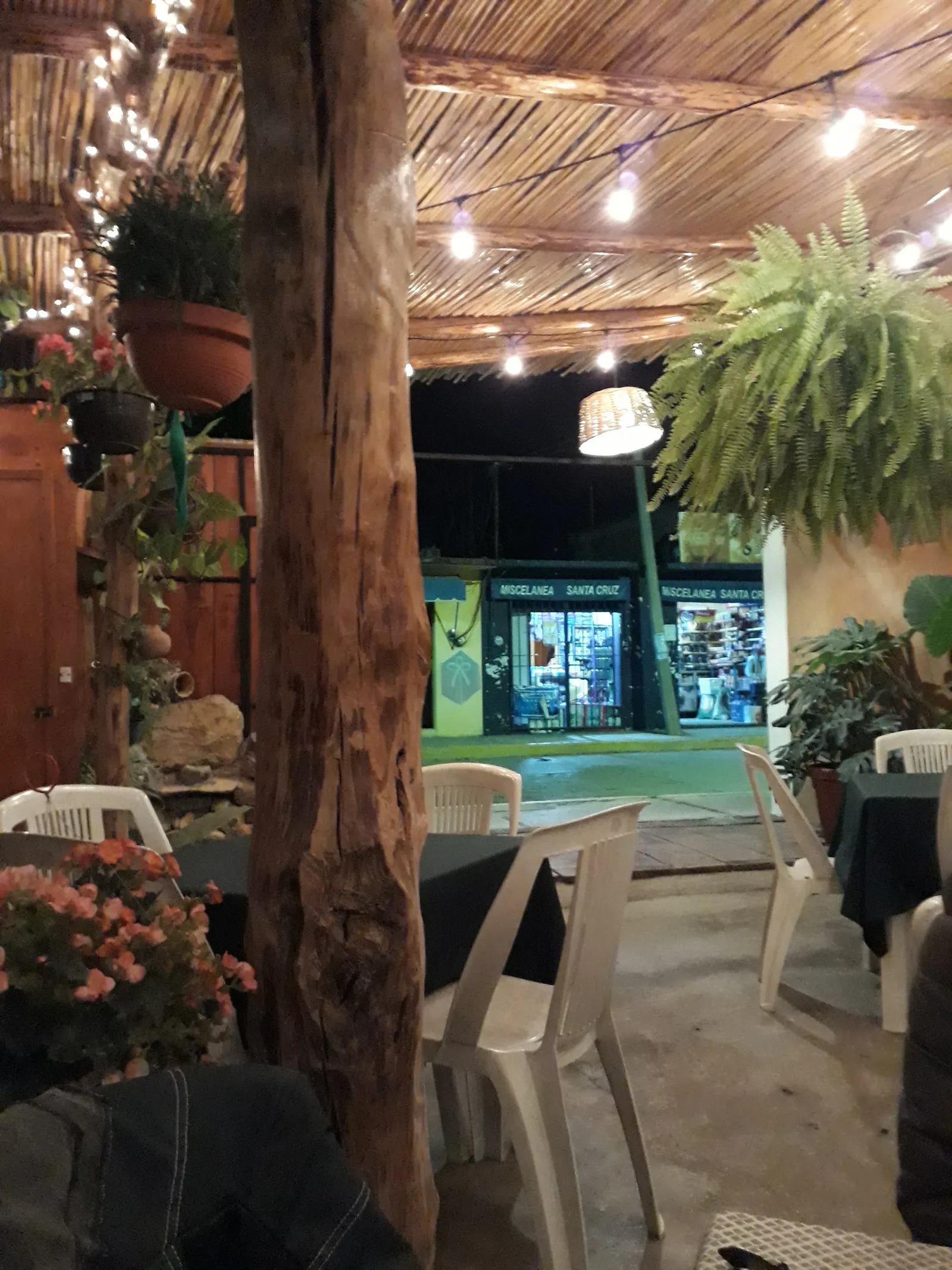 Casa Carmel Restaurante Bar image 5